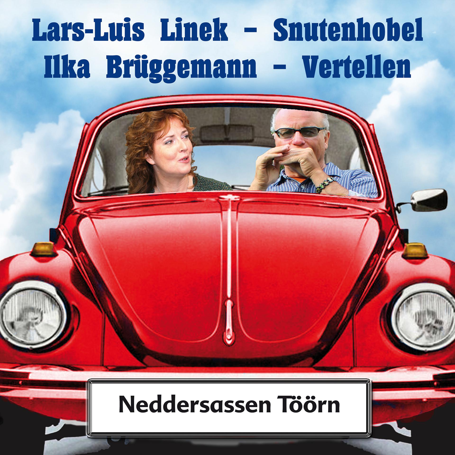 Постер альбома Neddersassen Töörn