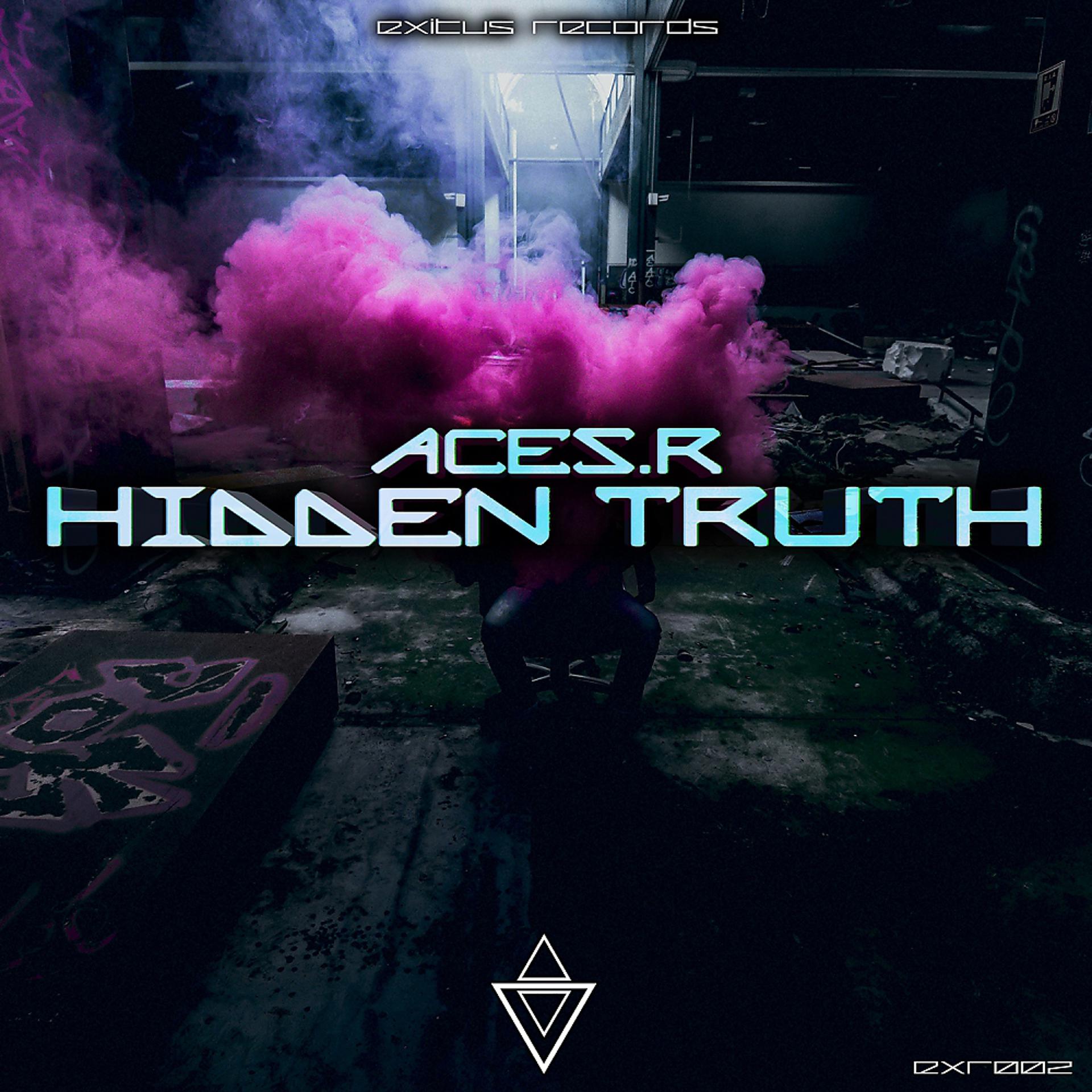 Постер альбома Hidden Truth
