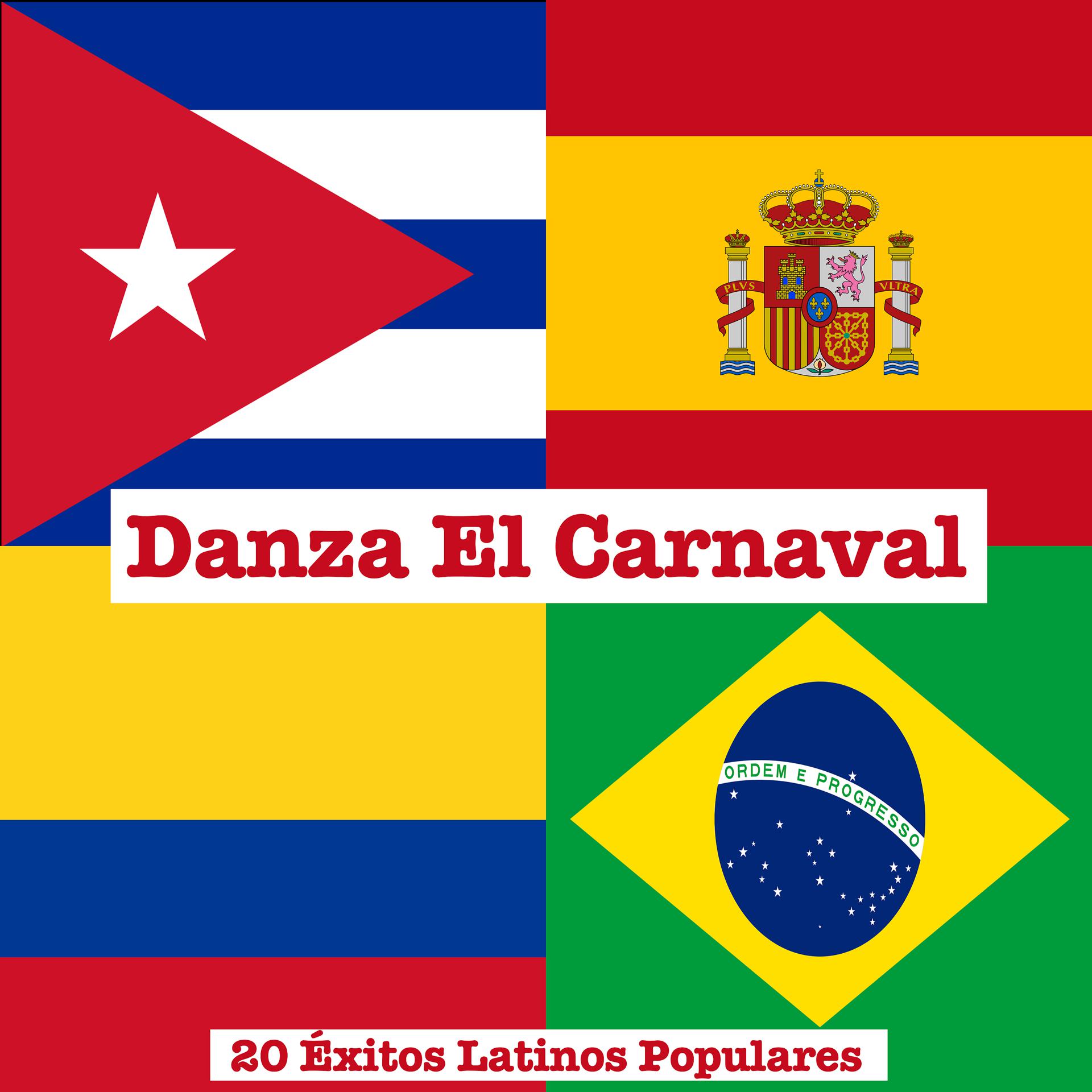 Постер альбома Danza El Carnival