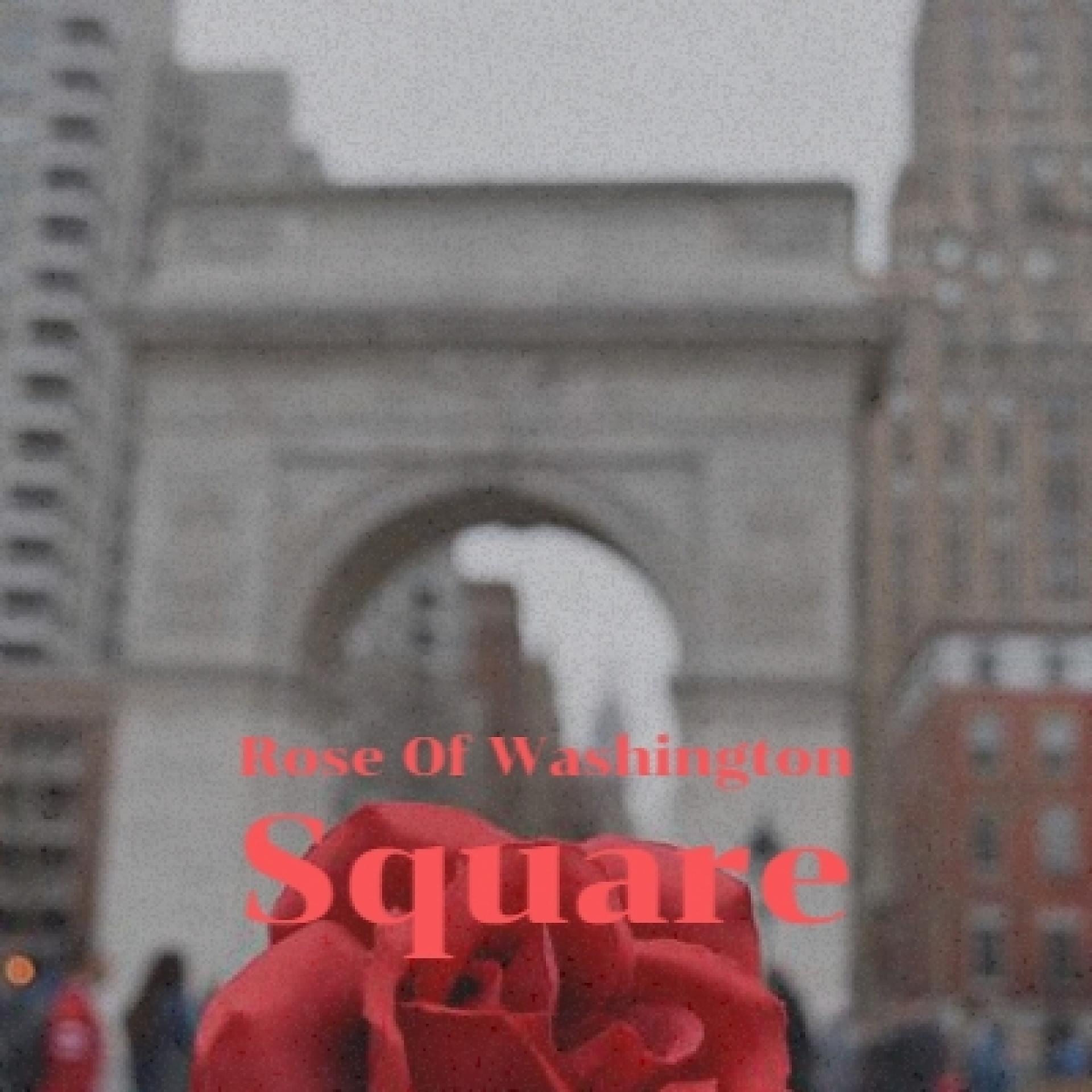 Постер альбома Rose of Washington Square