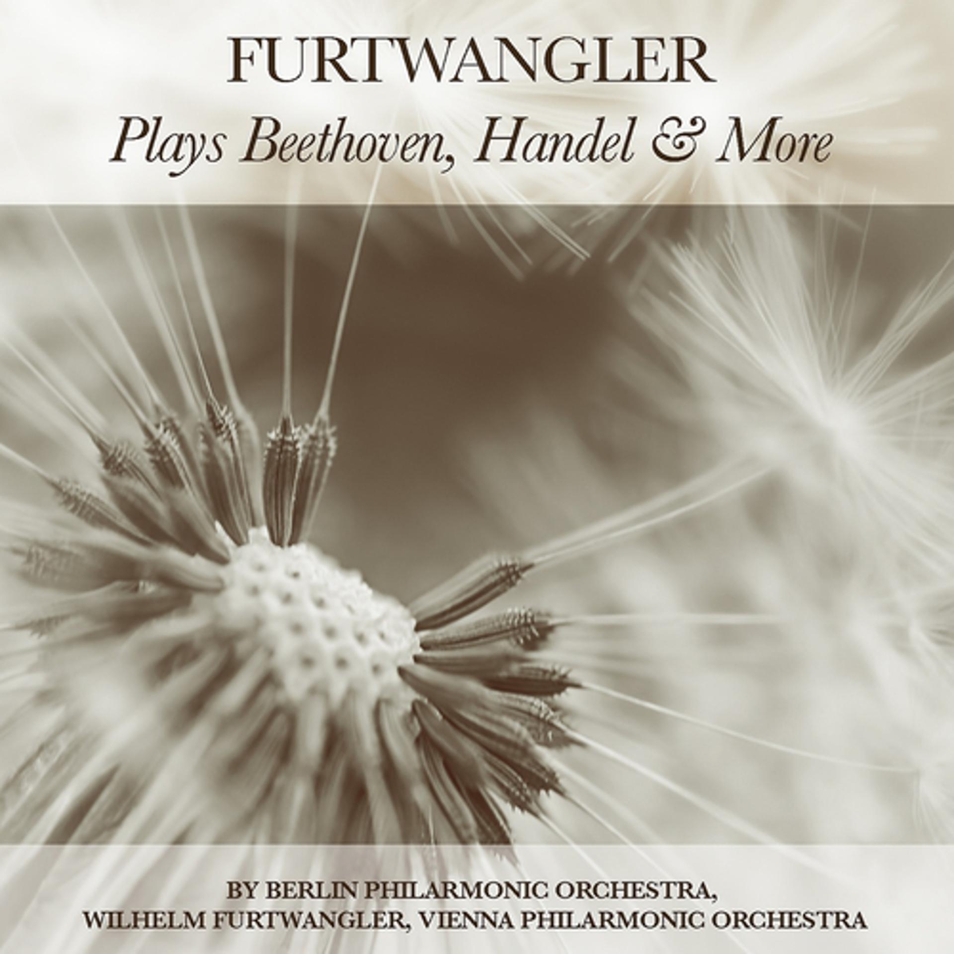 Постер альбома Furtwangler Plays Beethoven, Handel & Many More