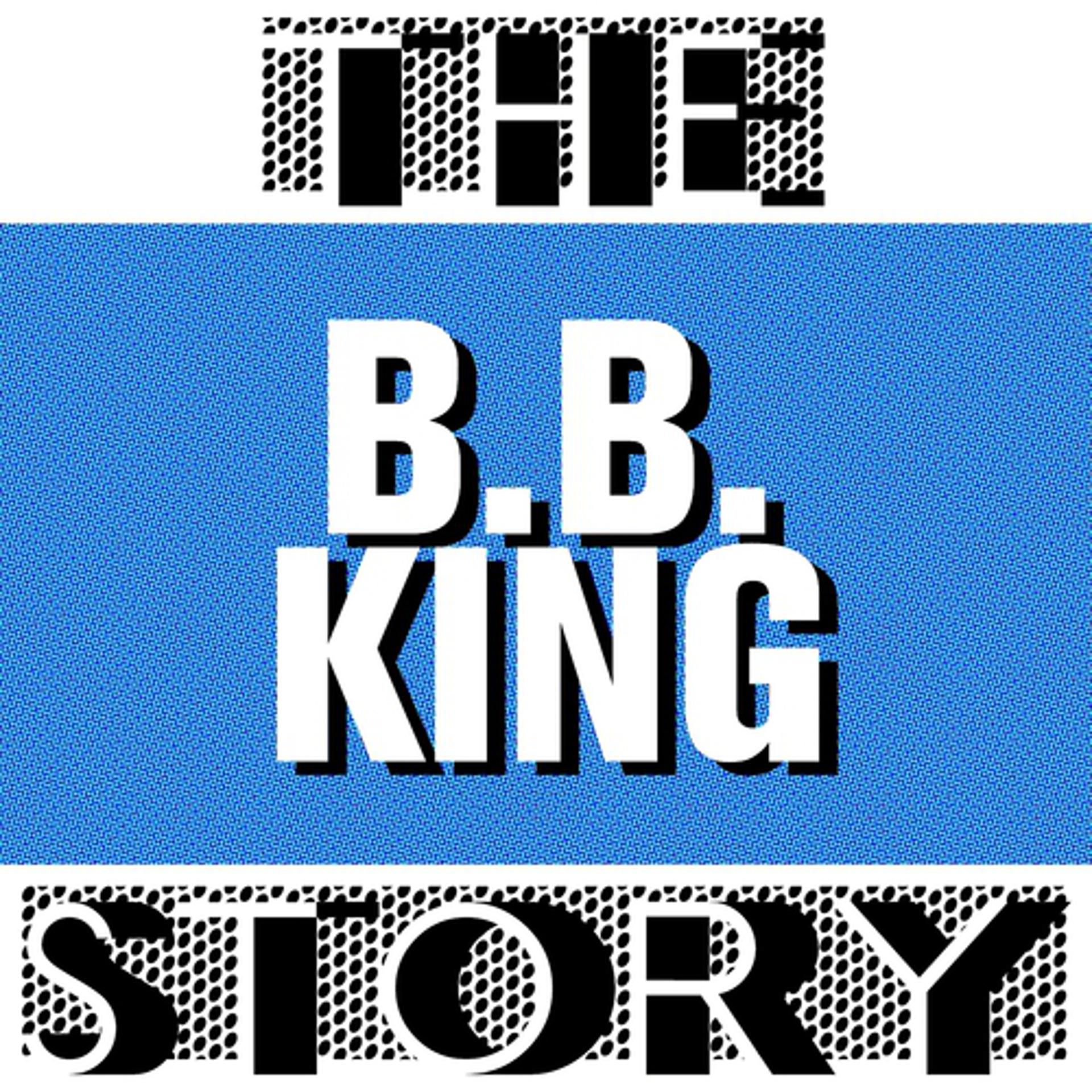 Постер альбома The B.B. King Story
