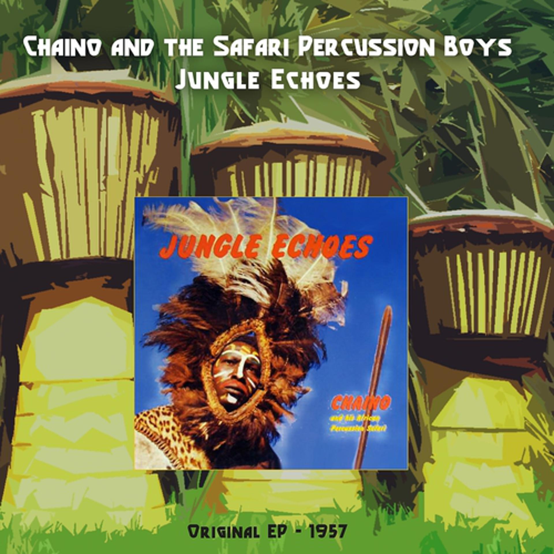 Постер альбома Jungle Echoes EP