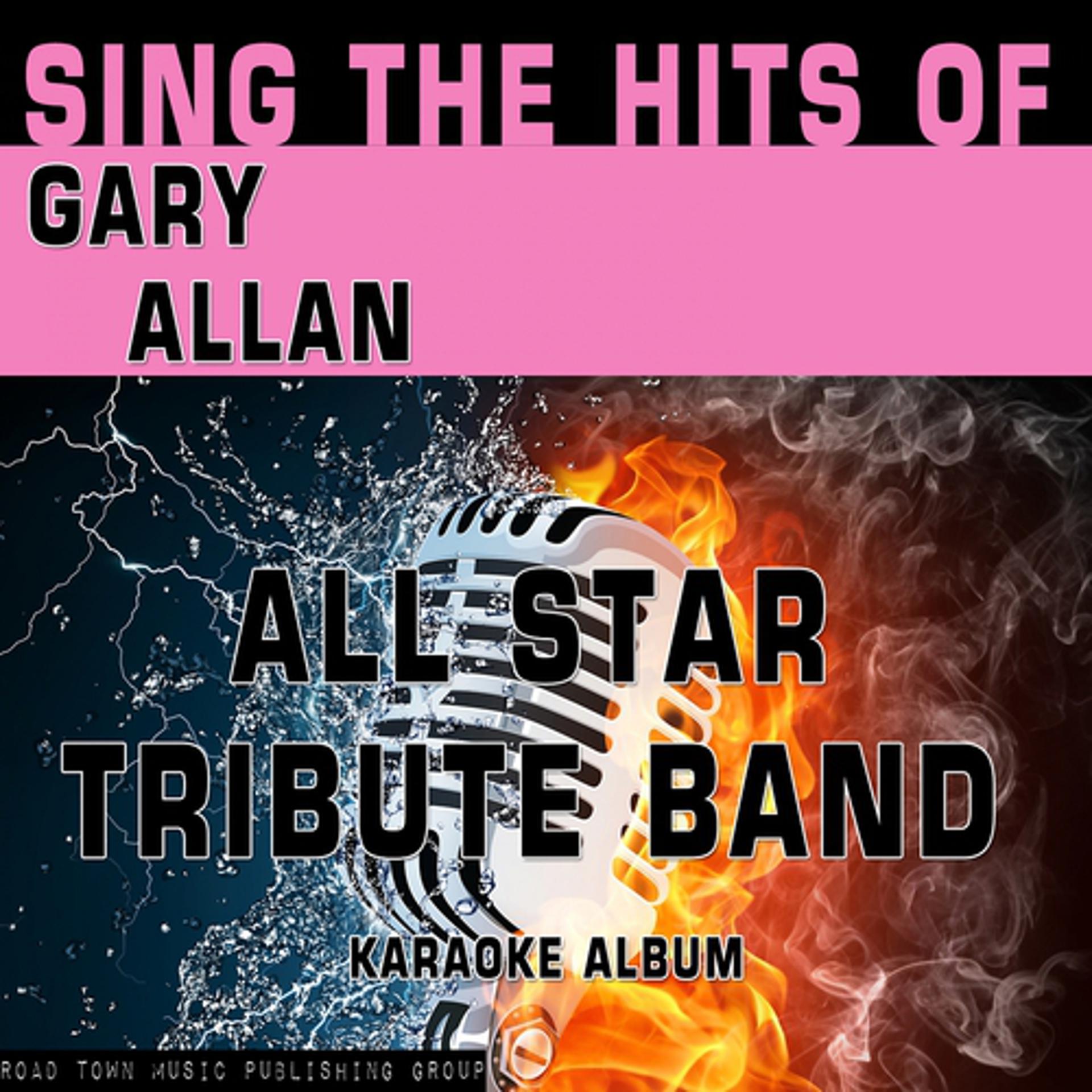 Постер альбома Sing the Hits of Gary Allan