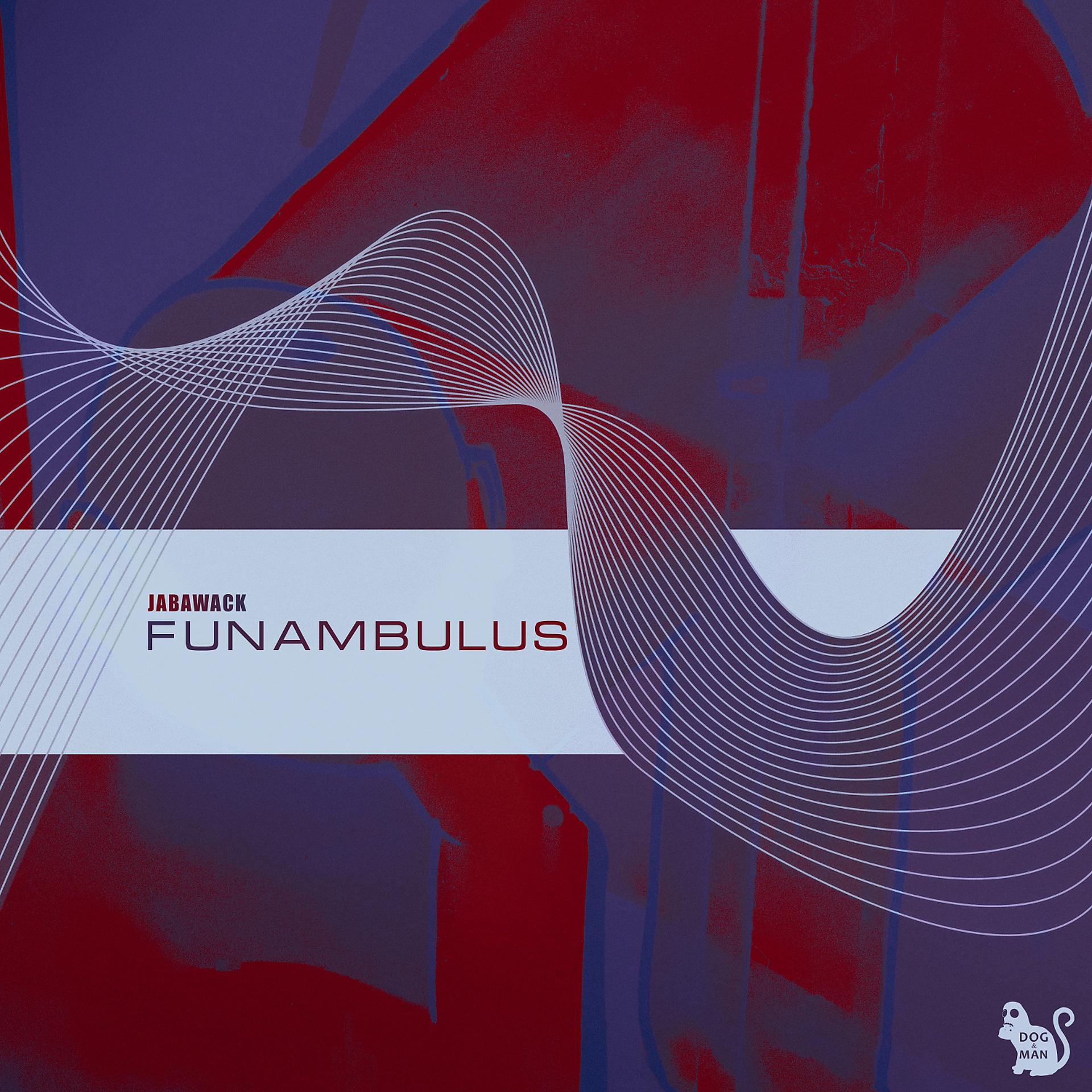 Постер альбома Funambulus