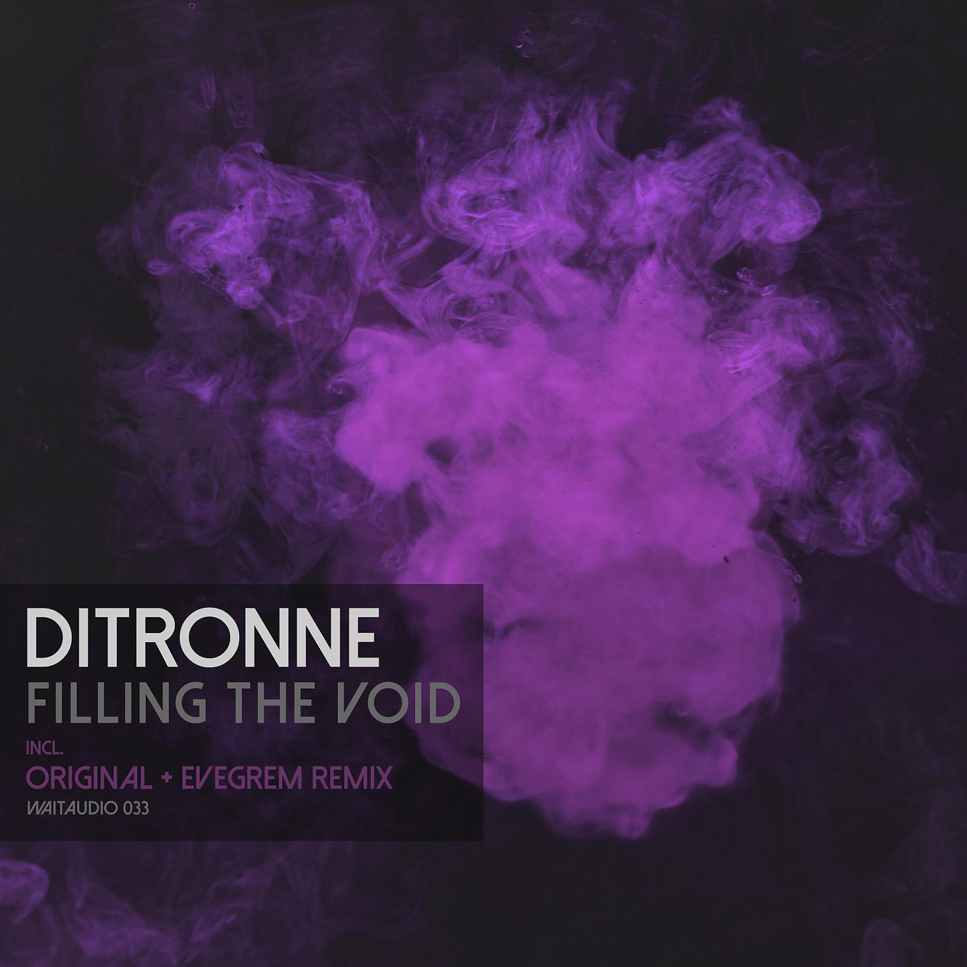 Постер альбома Filling the Void (Incl. Evegrem Remix)