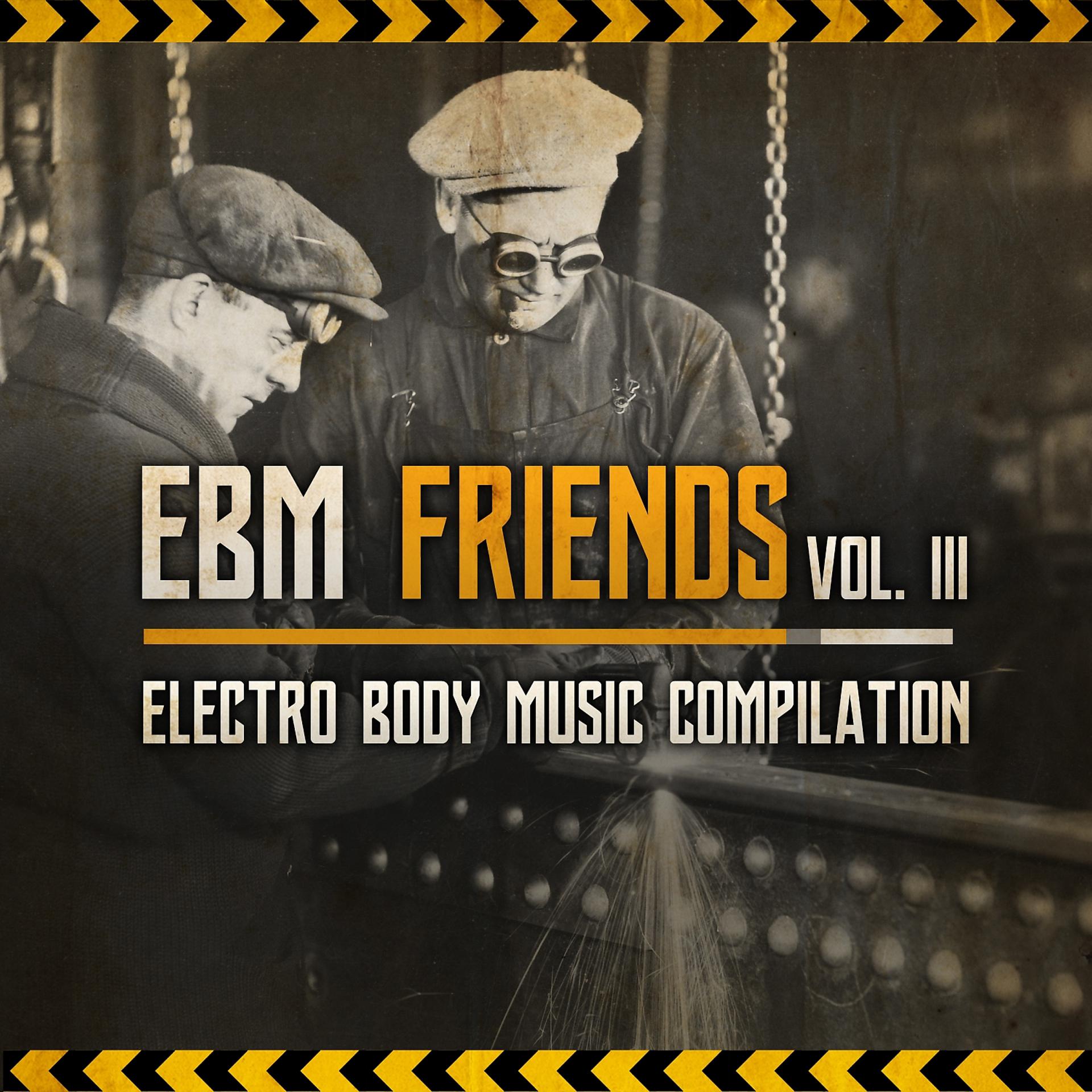 Постер альбома EBM Friends: Electro Body Music Compilation, Vol. III
