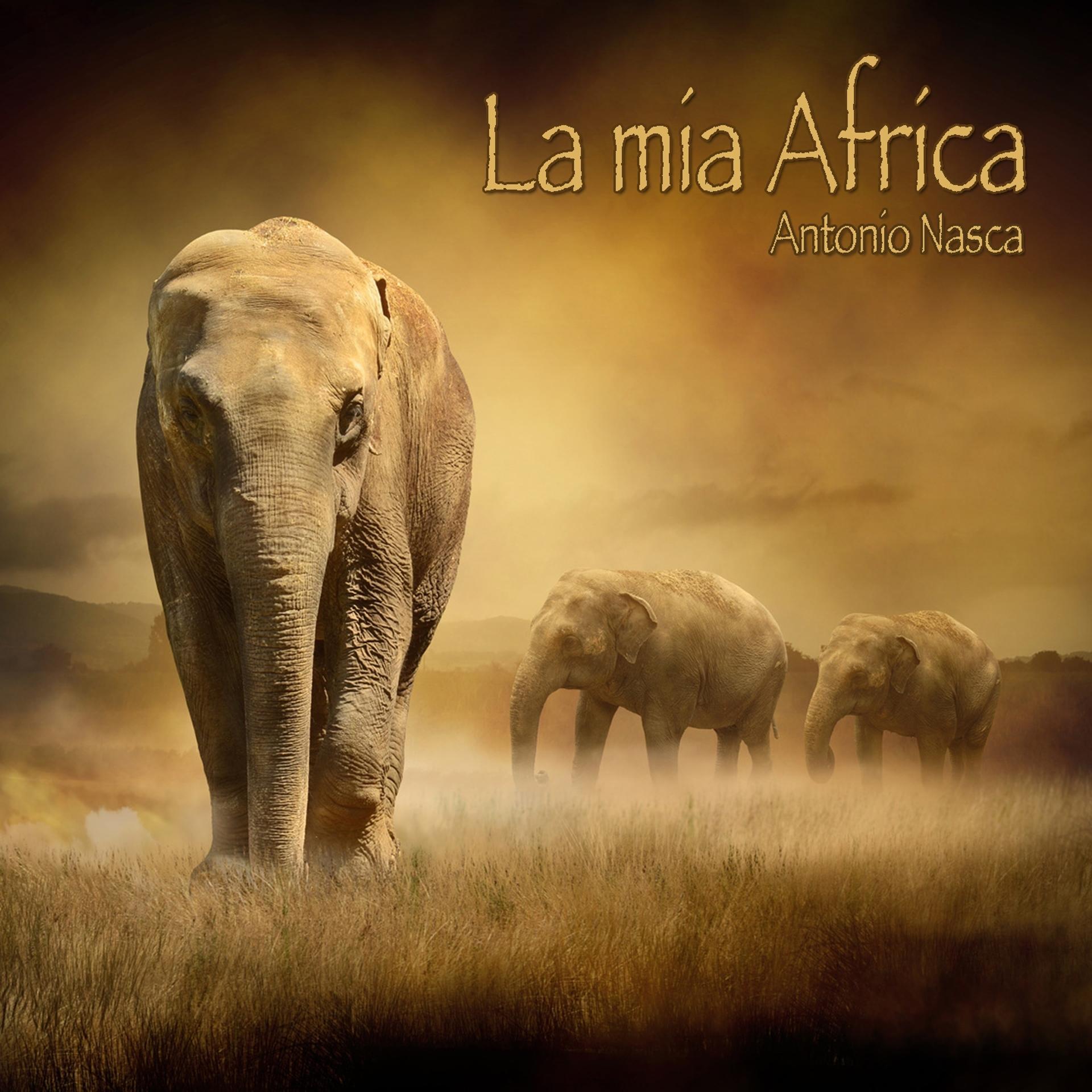Постер альбома La mia Africa (Musiche dal mondo)