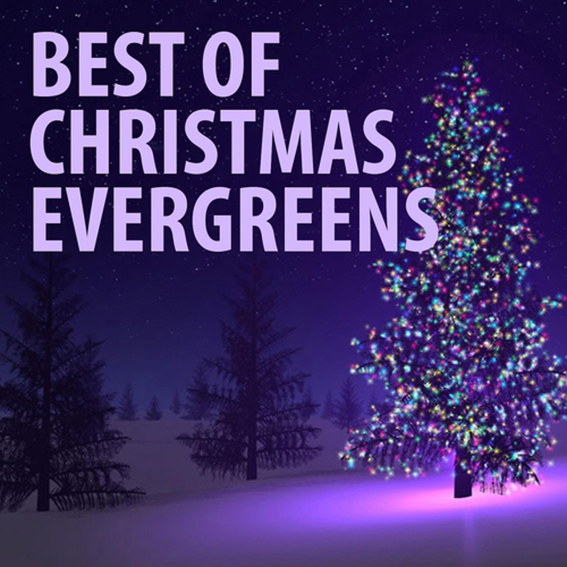 Постер альбома Best of Christmas Evergreens