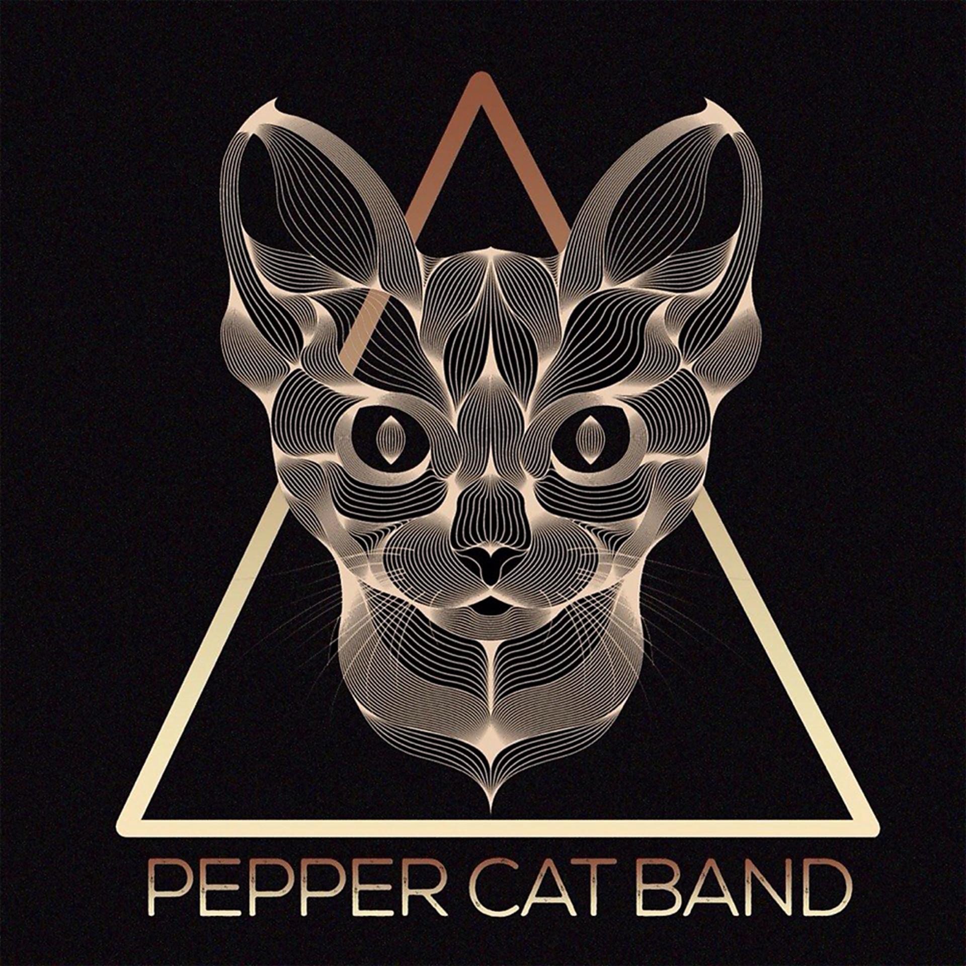 Постер альбома Pepper Cat Band 1 Year