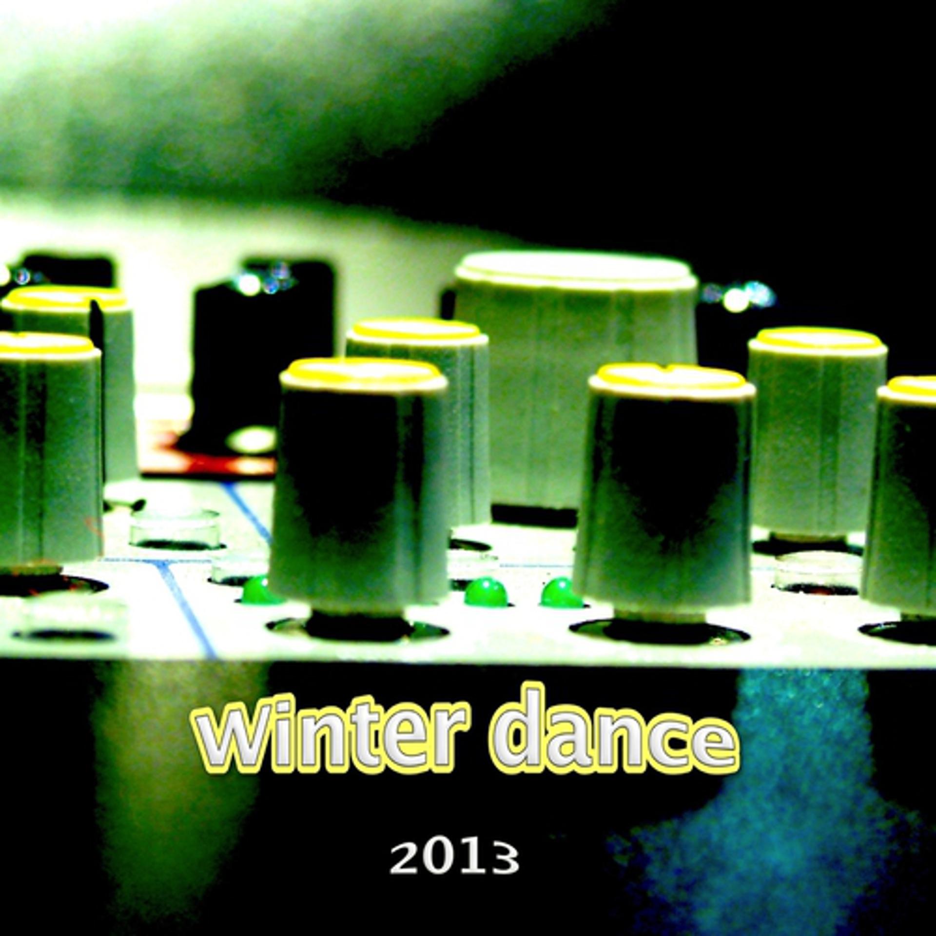 Постер альбома Winter Dance 2013