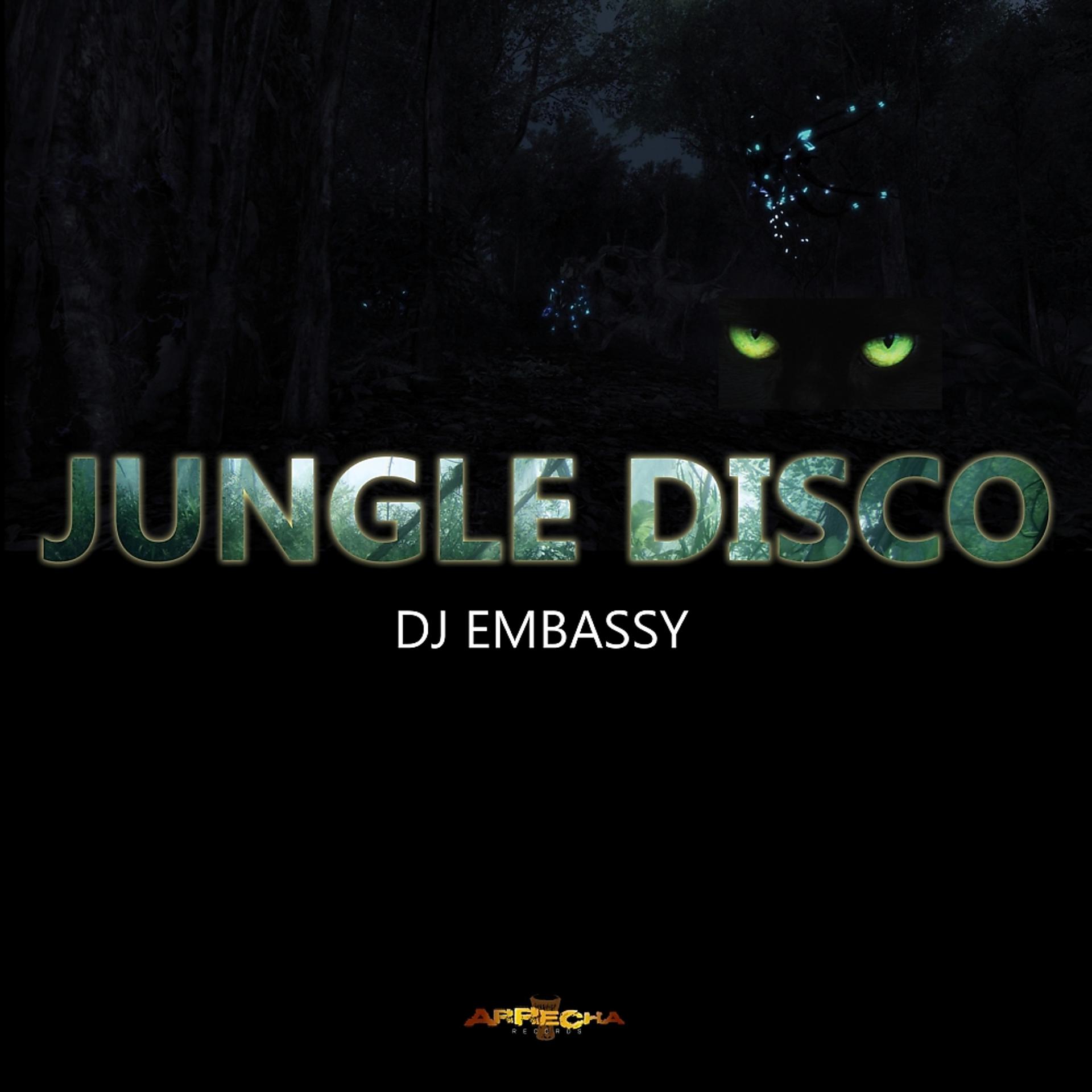 Постер альбома Jungle Disco