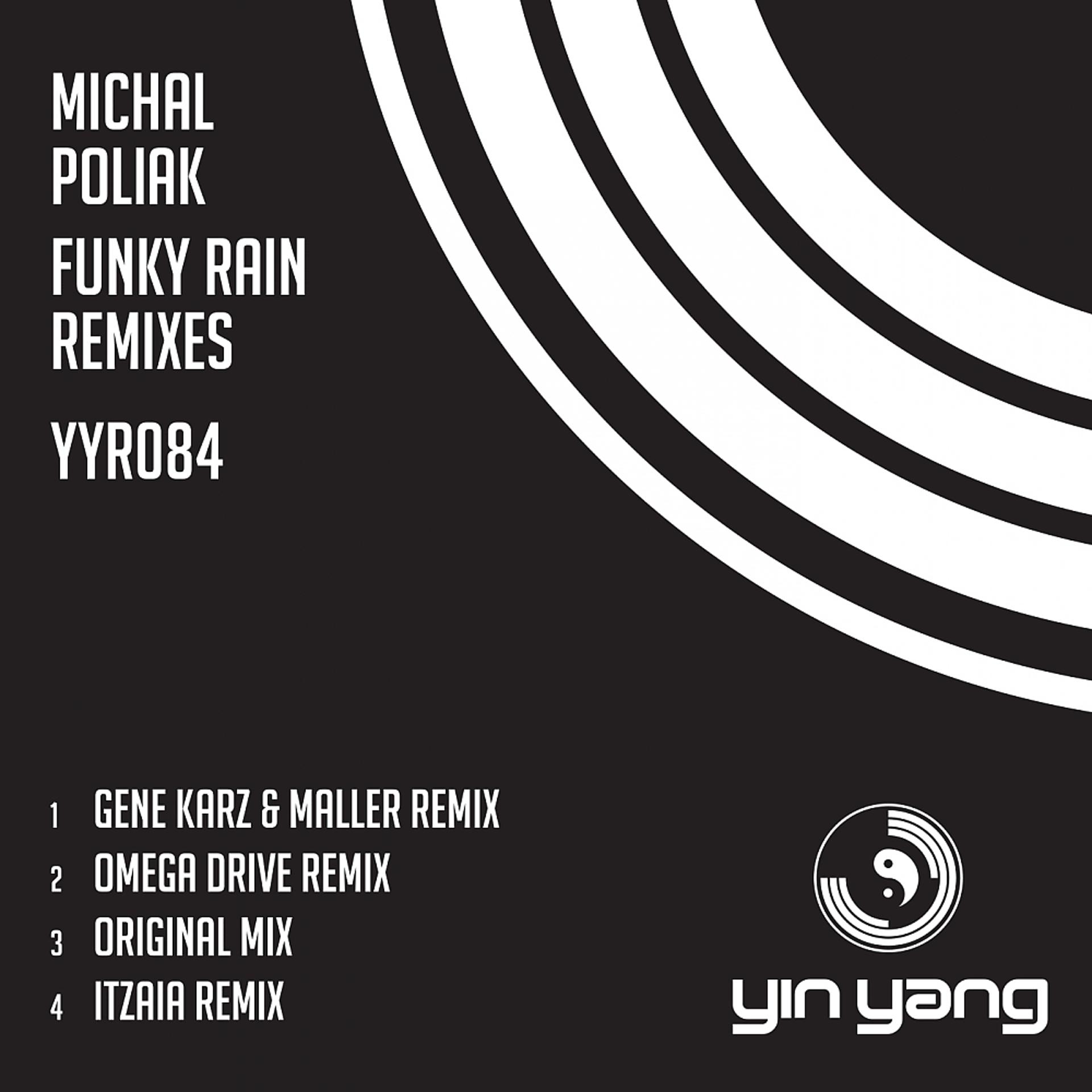 Постер альбома Funky Rain Remixes