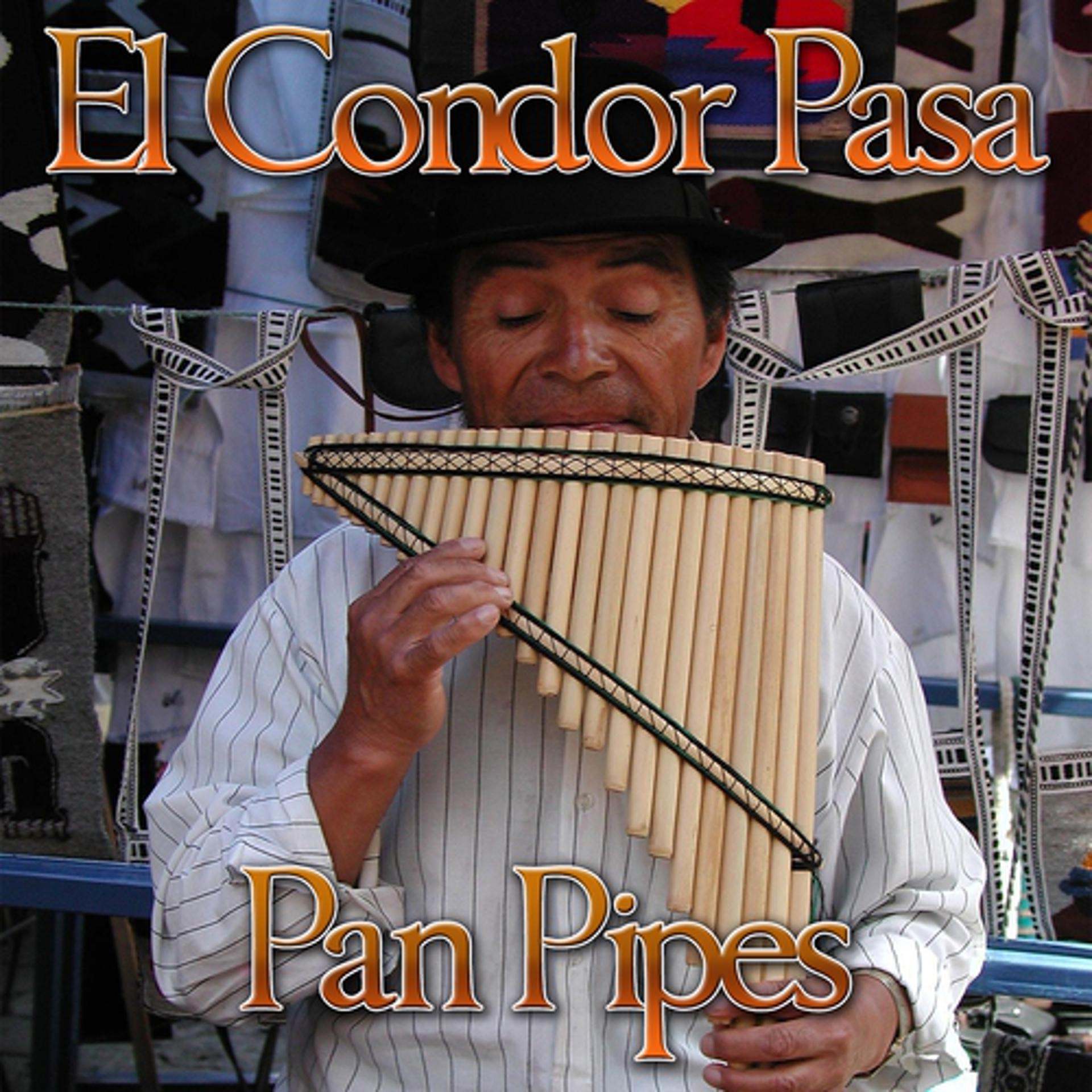 Постер альбома El Condor Pasa (Pan Pipes)