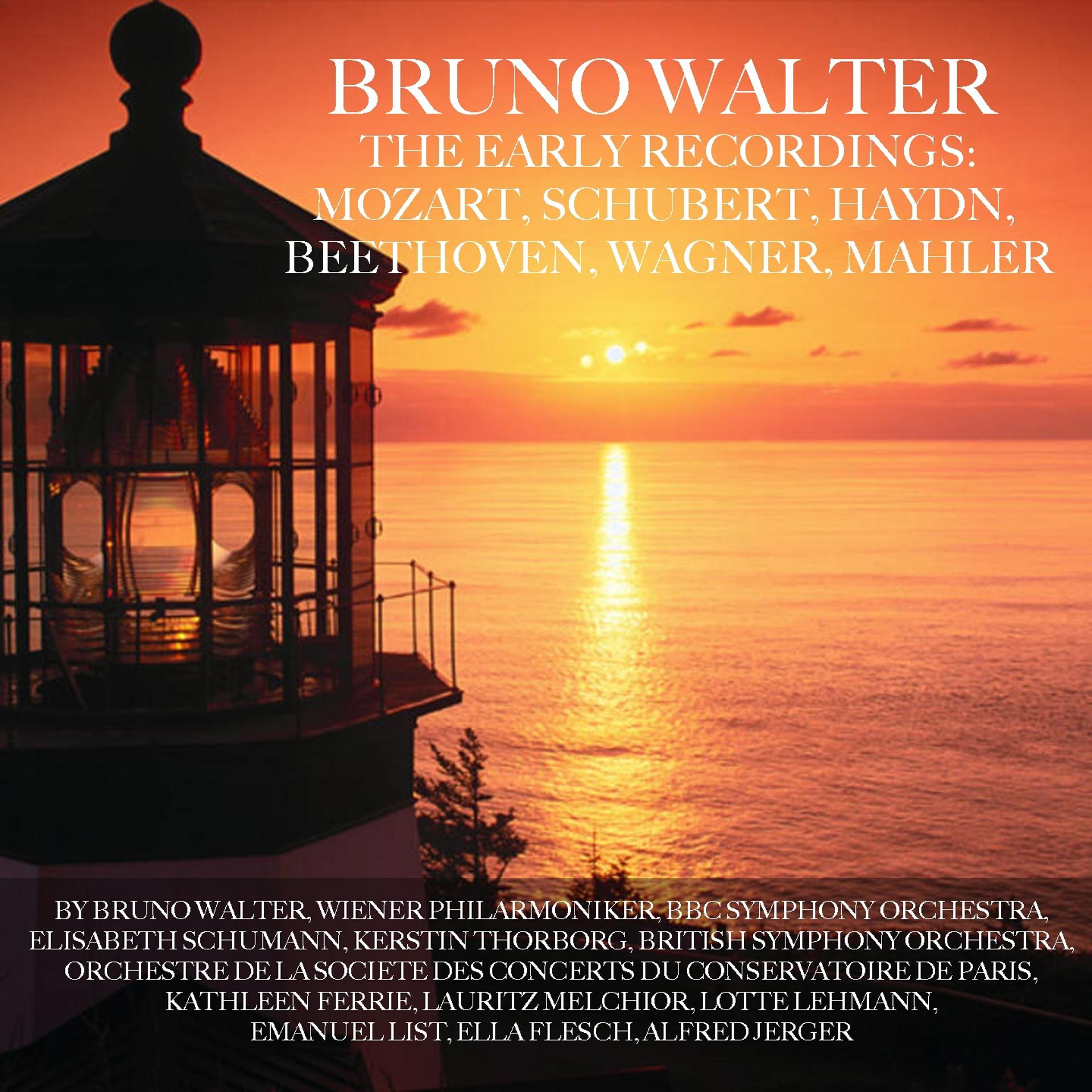 Постер альбома Bruno Walter The Early Recordings: Mozart, Schubert, Haydn, Beethoven, Wagner, Mahker