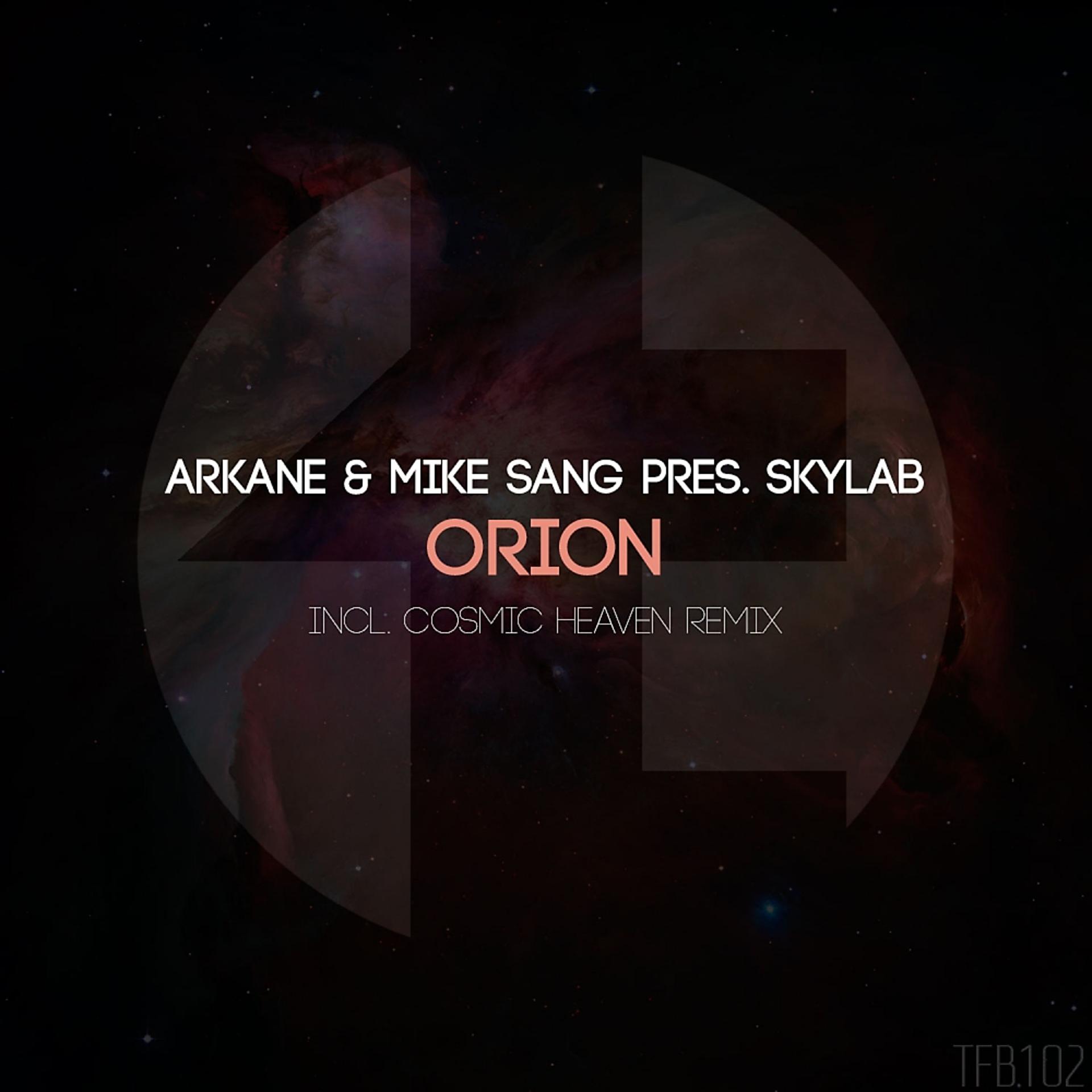 Постер альбома Orion