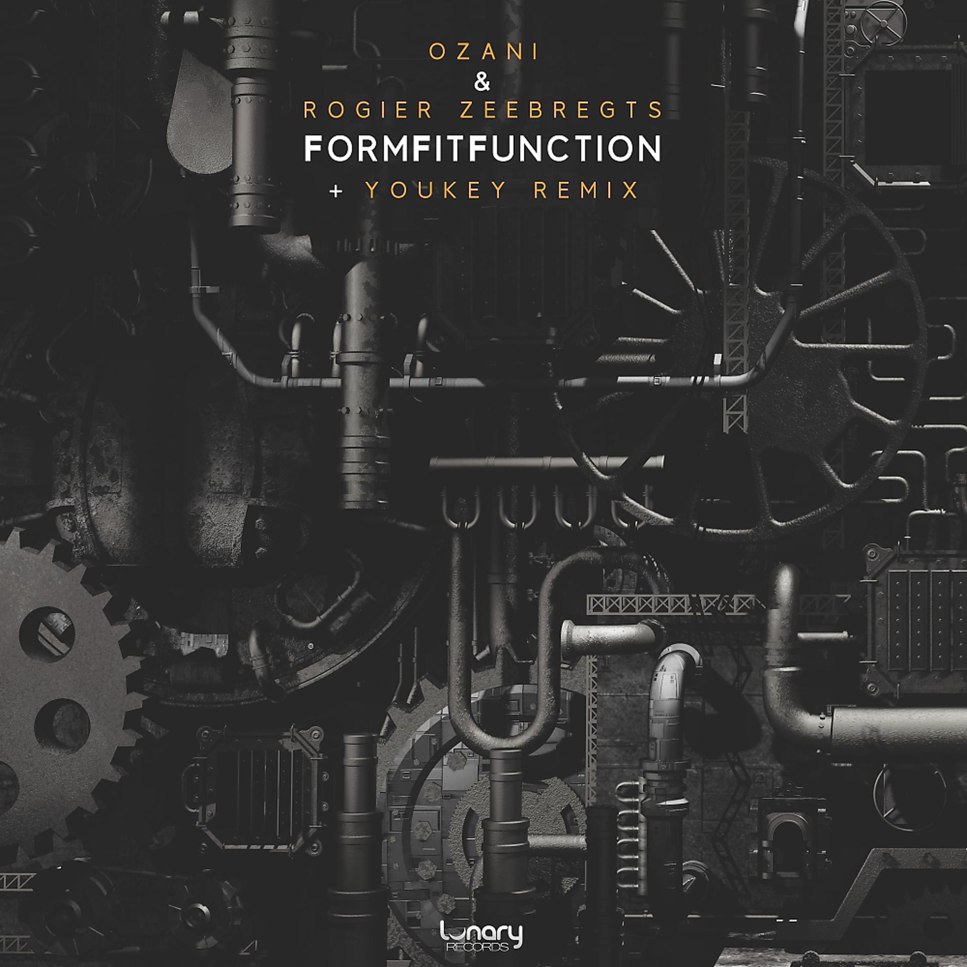 Постер альбома FormFitFunction