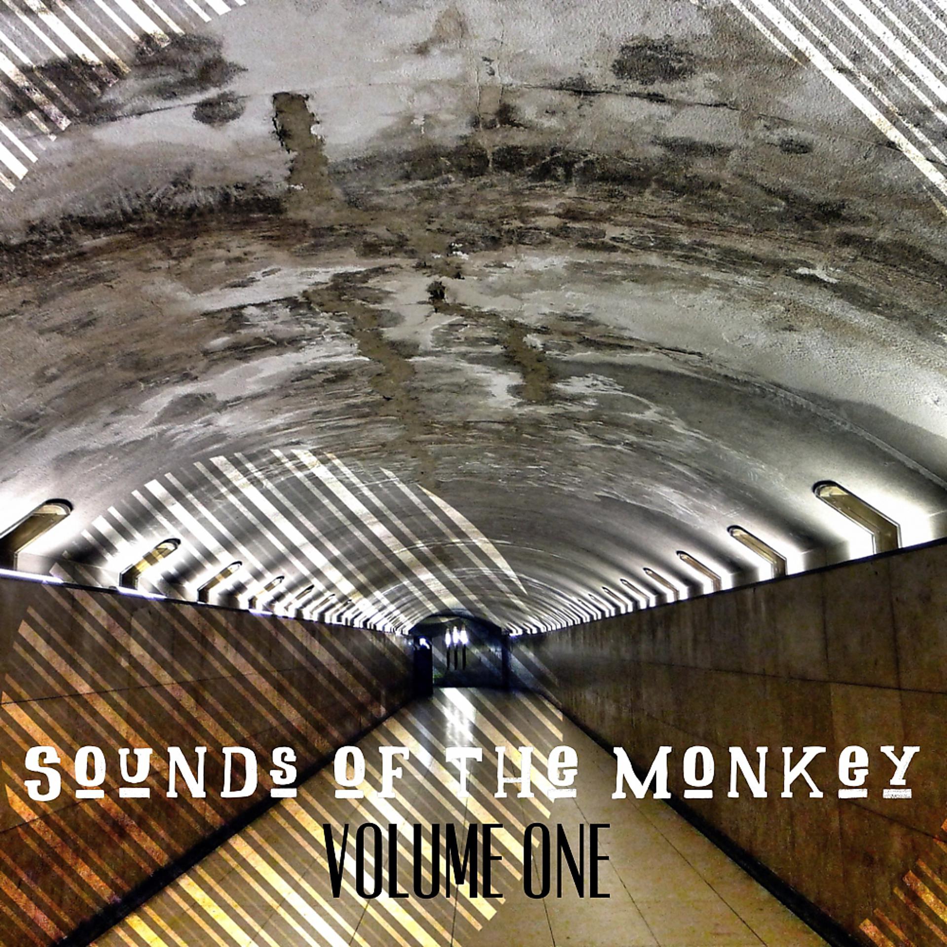 Постер альбома The Sounds of The Monkey Vol. 1