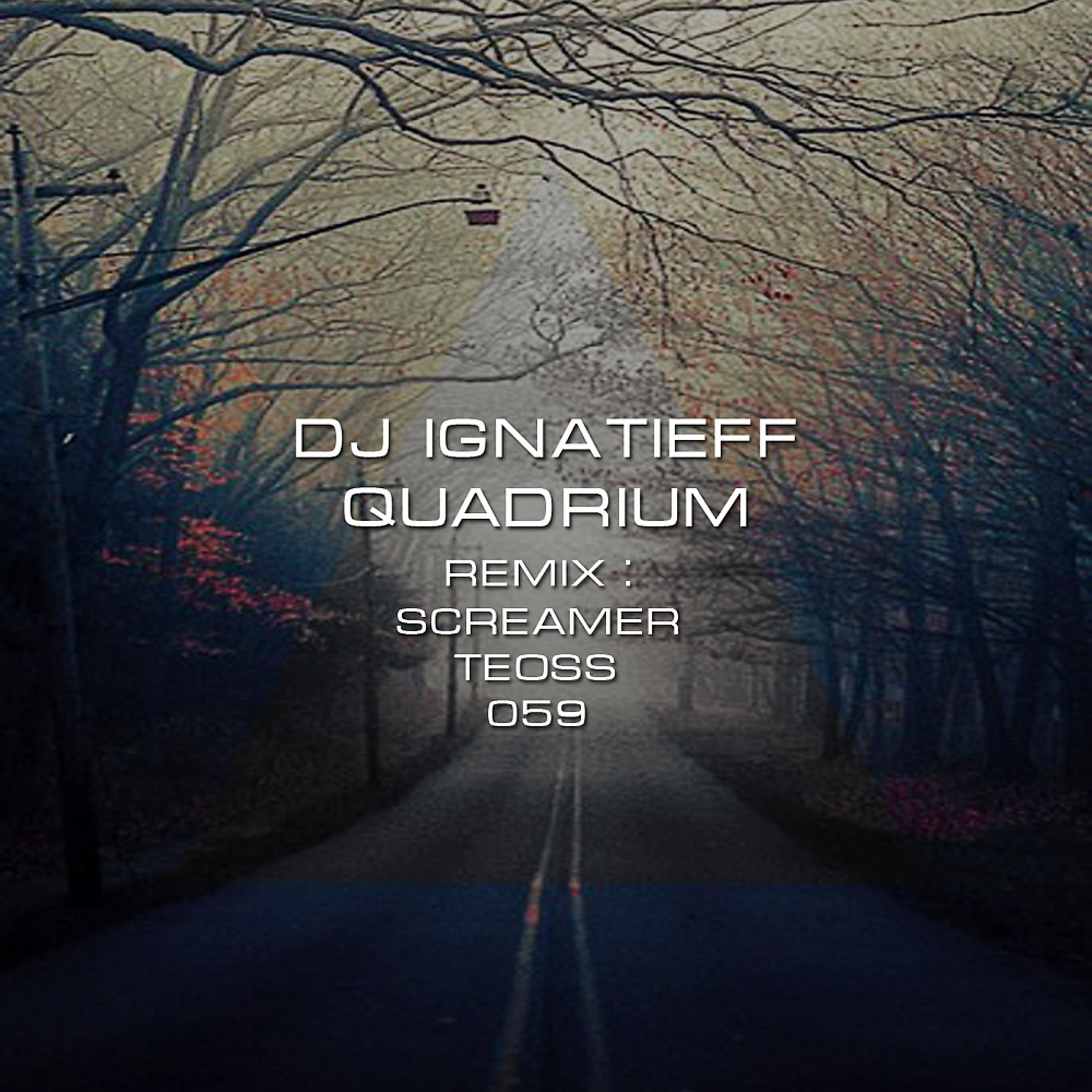 Постер альбома Quadrium