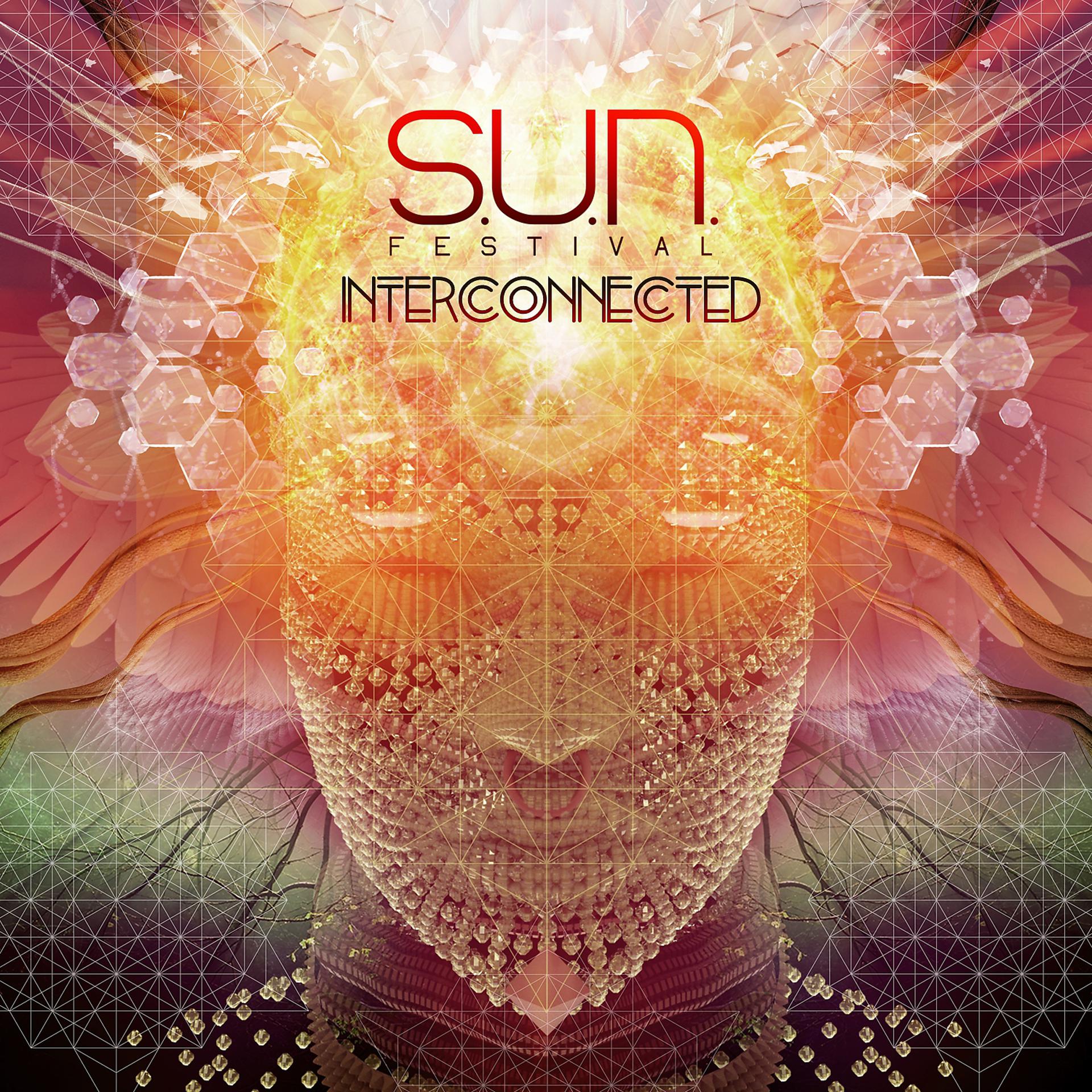 Постер альбома S.U.N. Festival - Interconnected