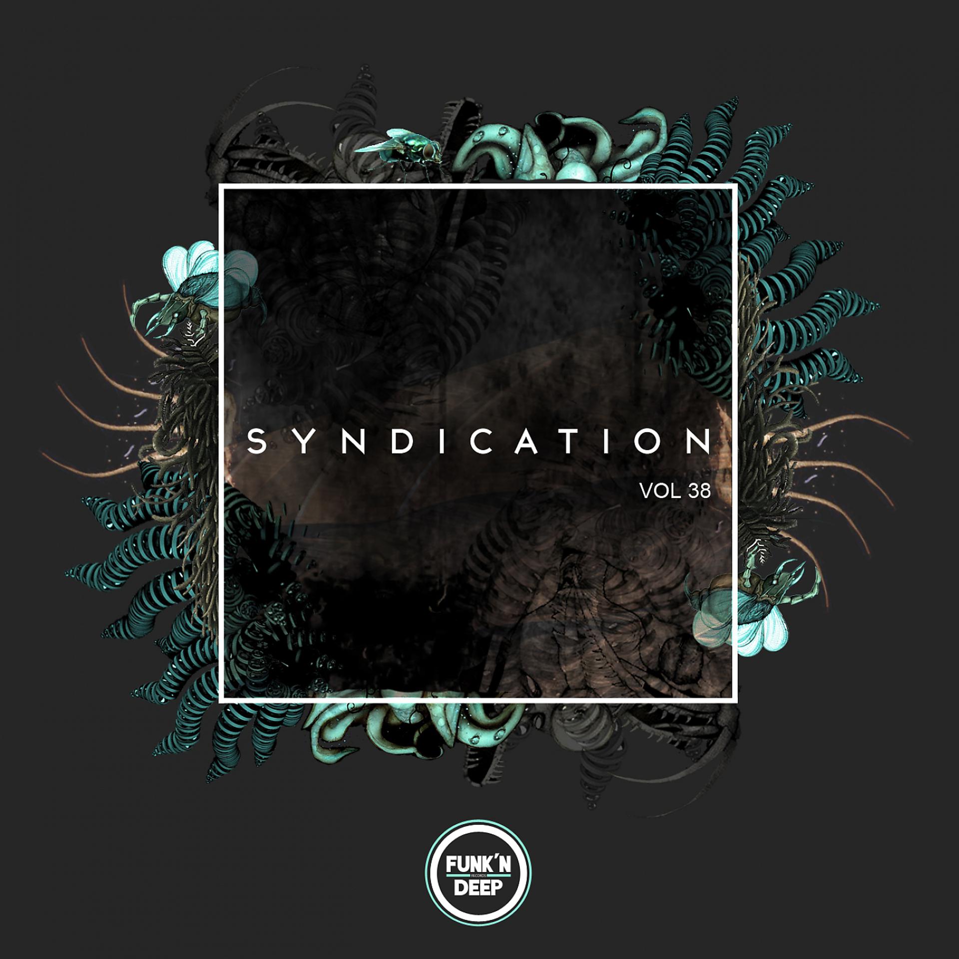 Постер альбома Syndication, Vol. 38