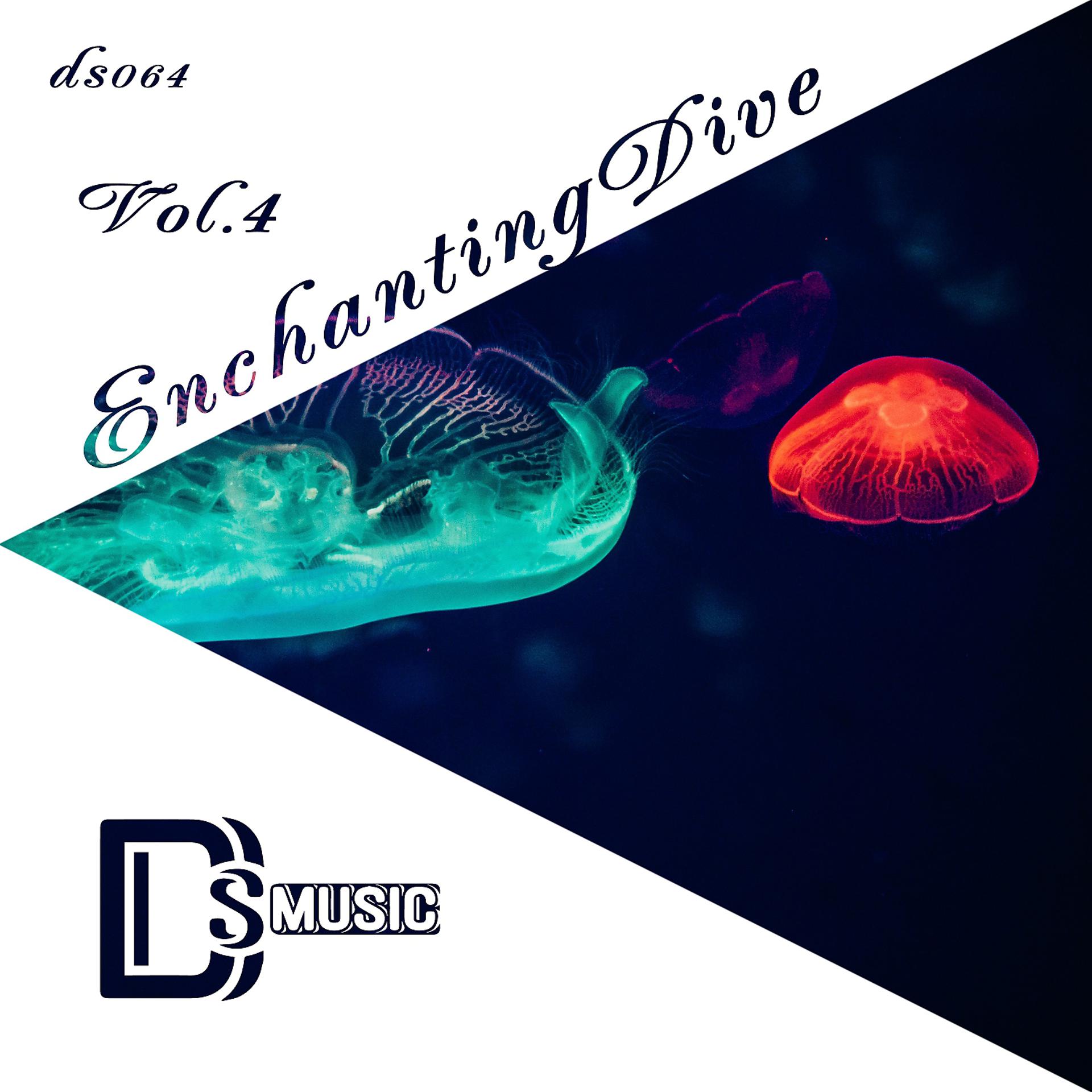 Постер альбома Enchanting Dive, Vol.4