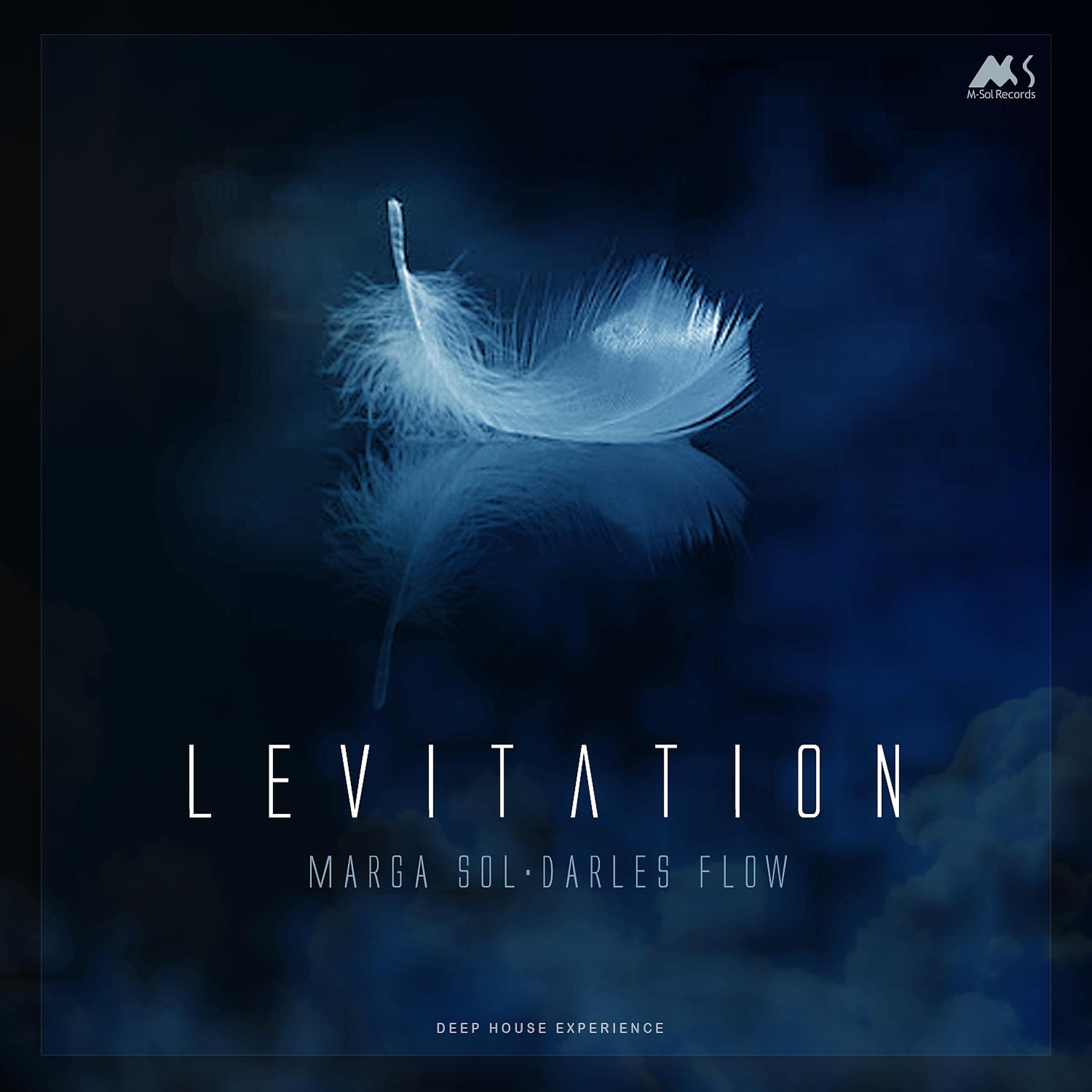 Постер альбома Levitation (Deep House Experience)