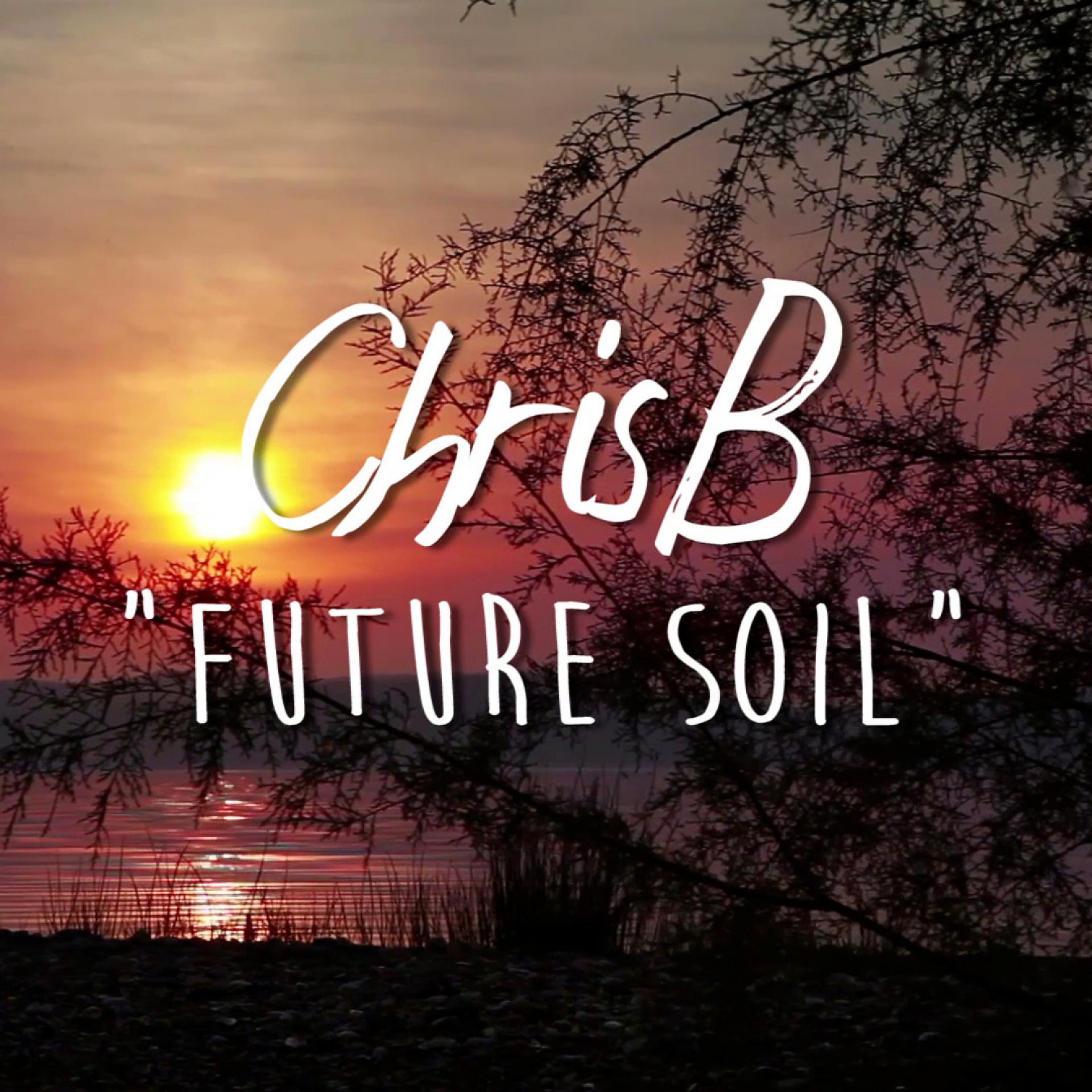 Постер альбома Future Soil