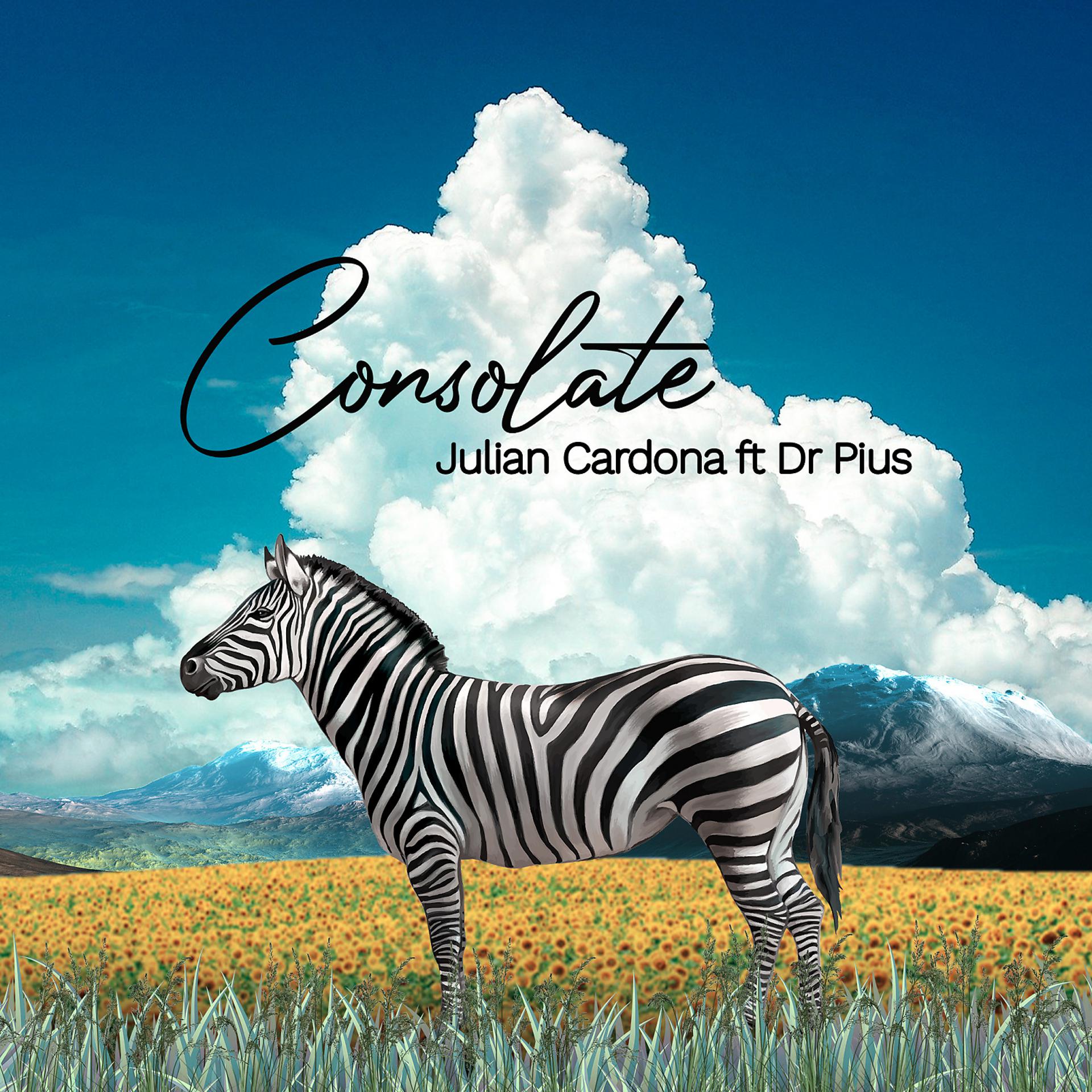 Постер альбома Consolate (feat. Dr Pius)