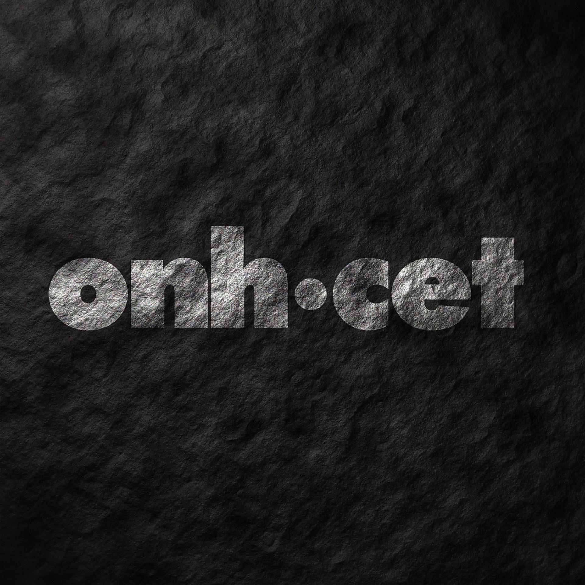 Постер альбома Onhcet 2013