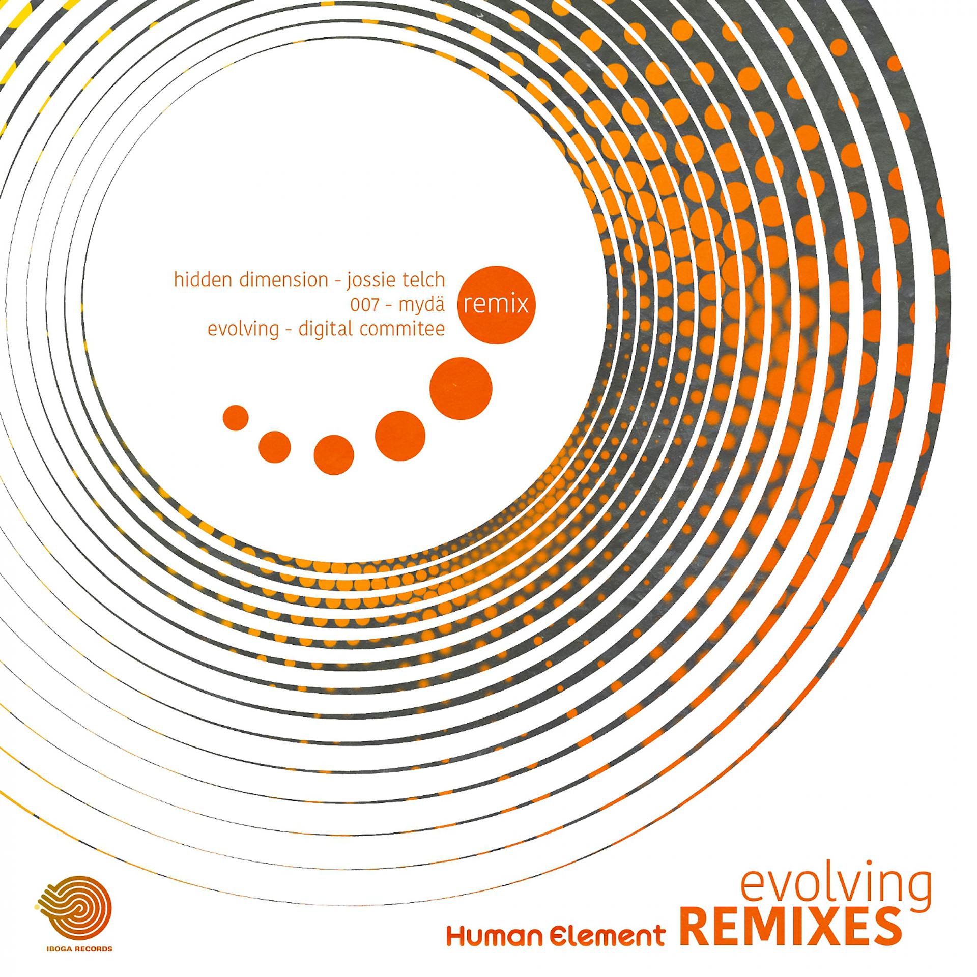 Постер альбома Evolving Remixes