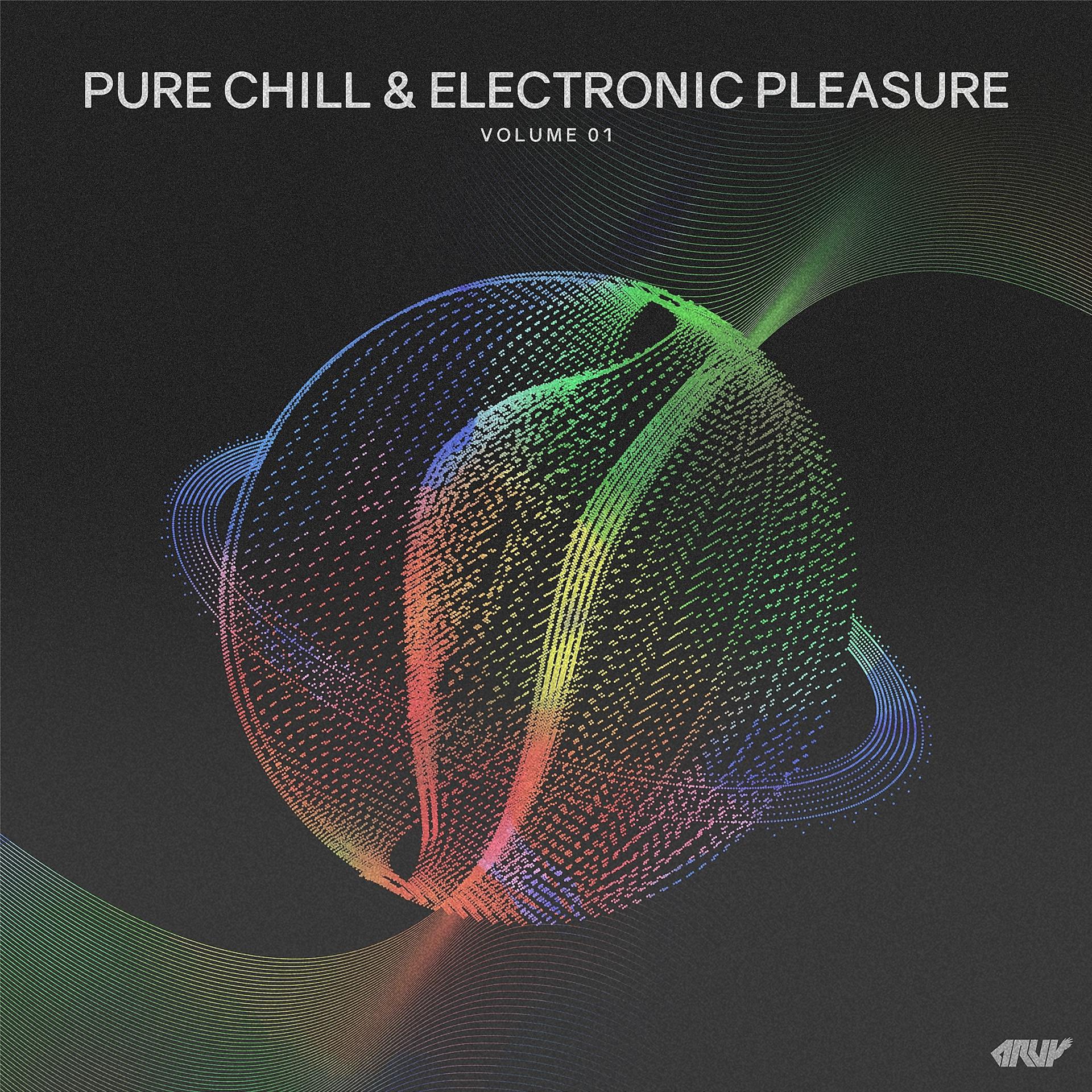 Постер альбома Pure Chill & Electronic Pleasure, Vol.1