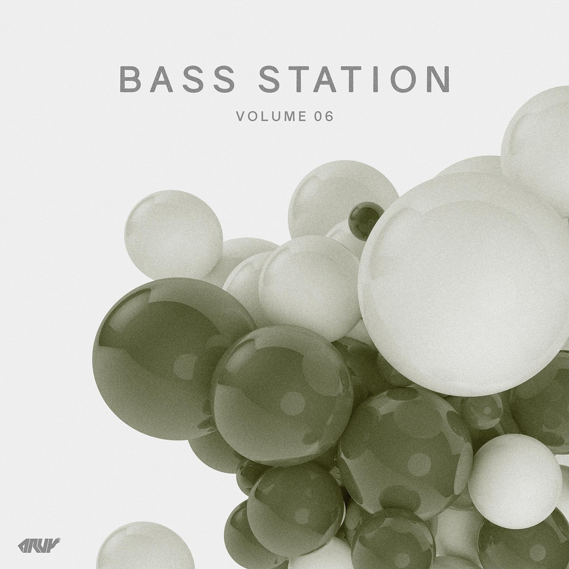 Постер альбома Bass Station, Vol.06