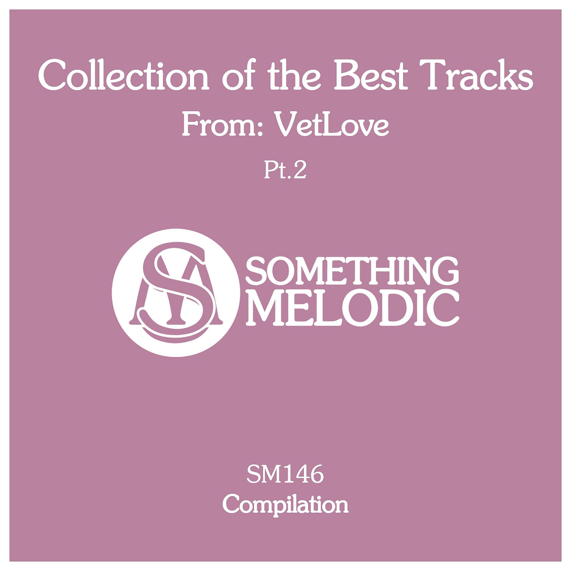 Постер альбома Collection of the Best Tracks From: Vetlove, Pt. 2