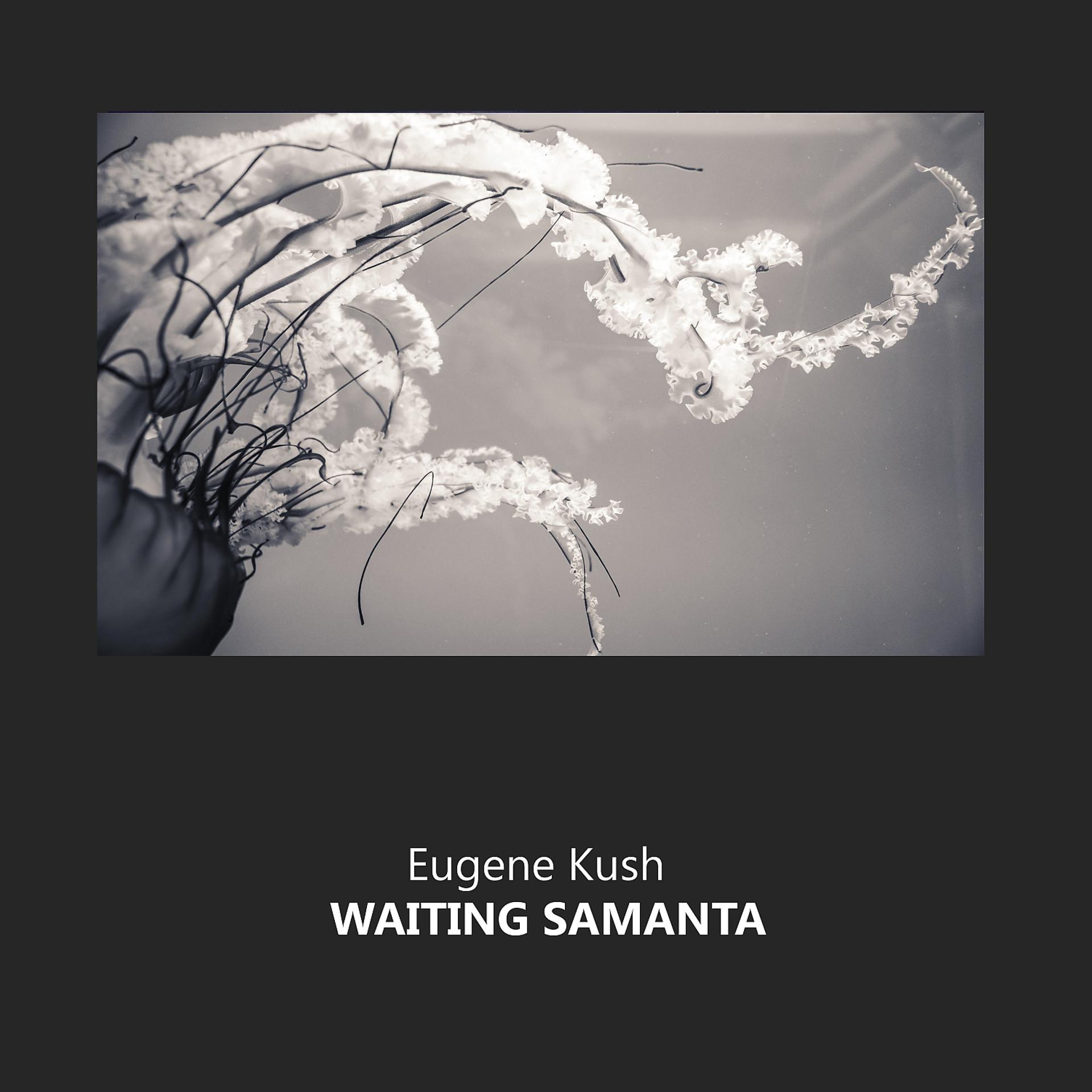 Постер альбома Waiting Samanta