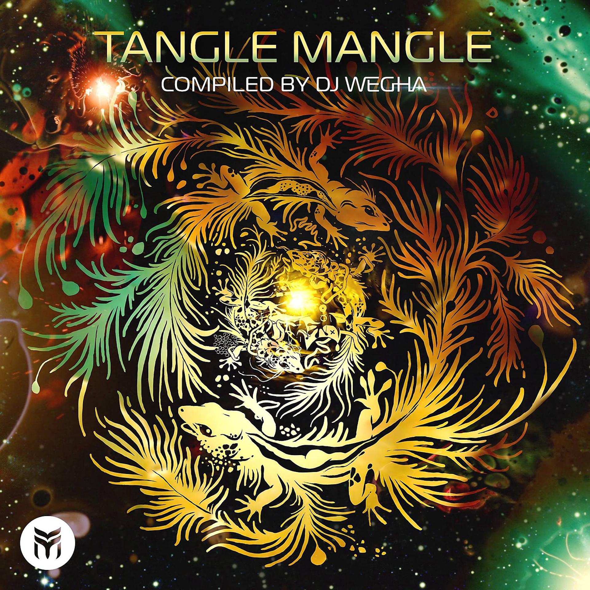 Постер альбома Tangle Mangle Mix by Dj Wegha