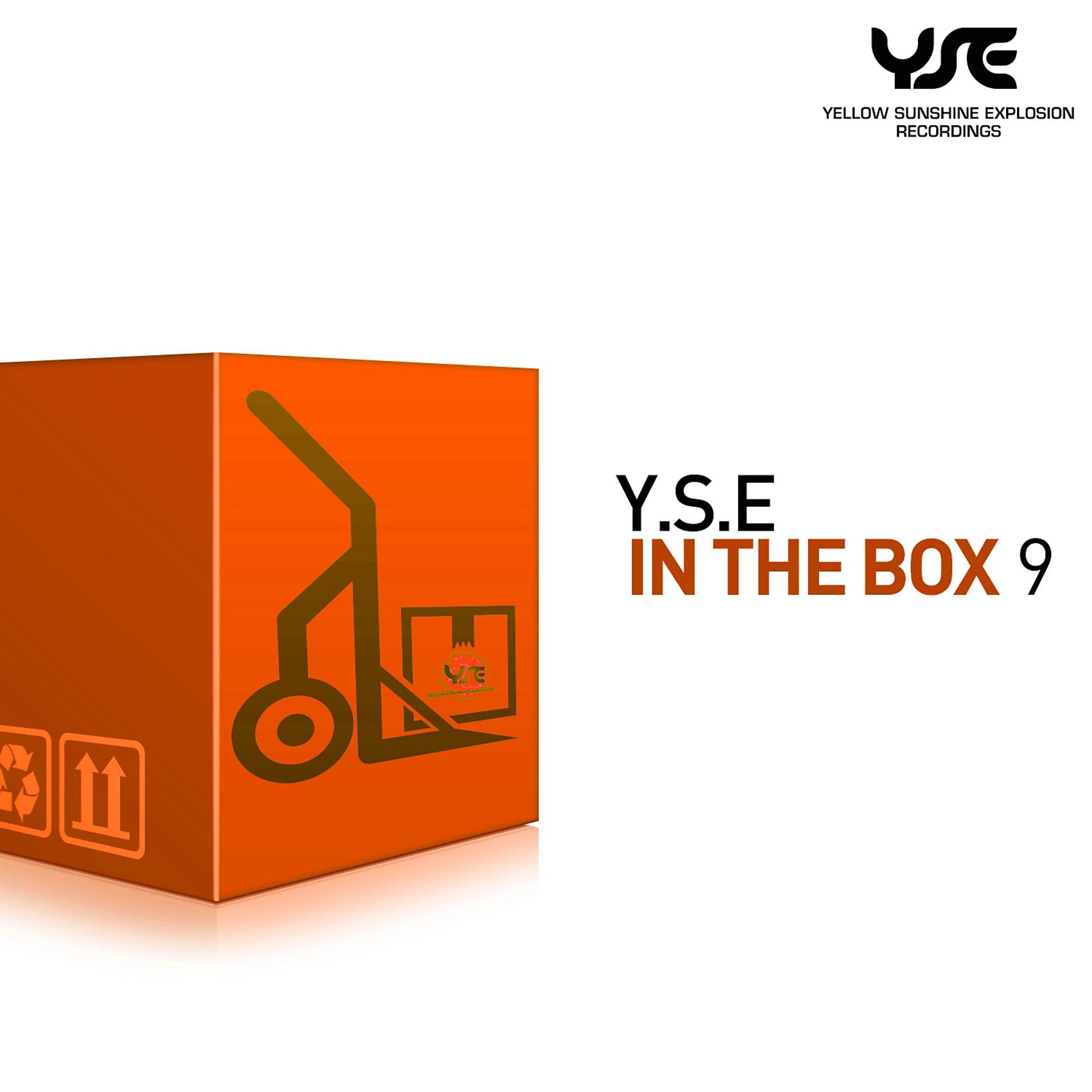 Постер альбома Y.S.E. in the Box, Vol. 9