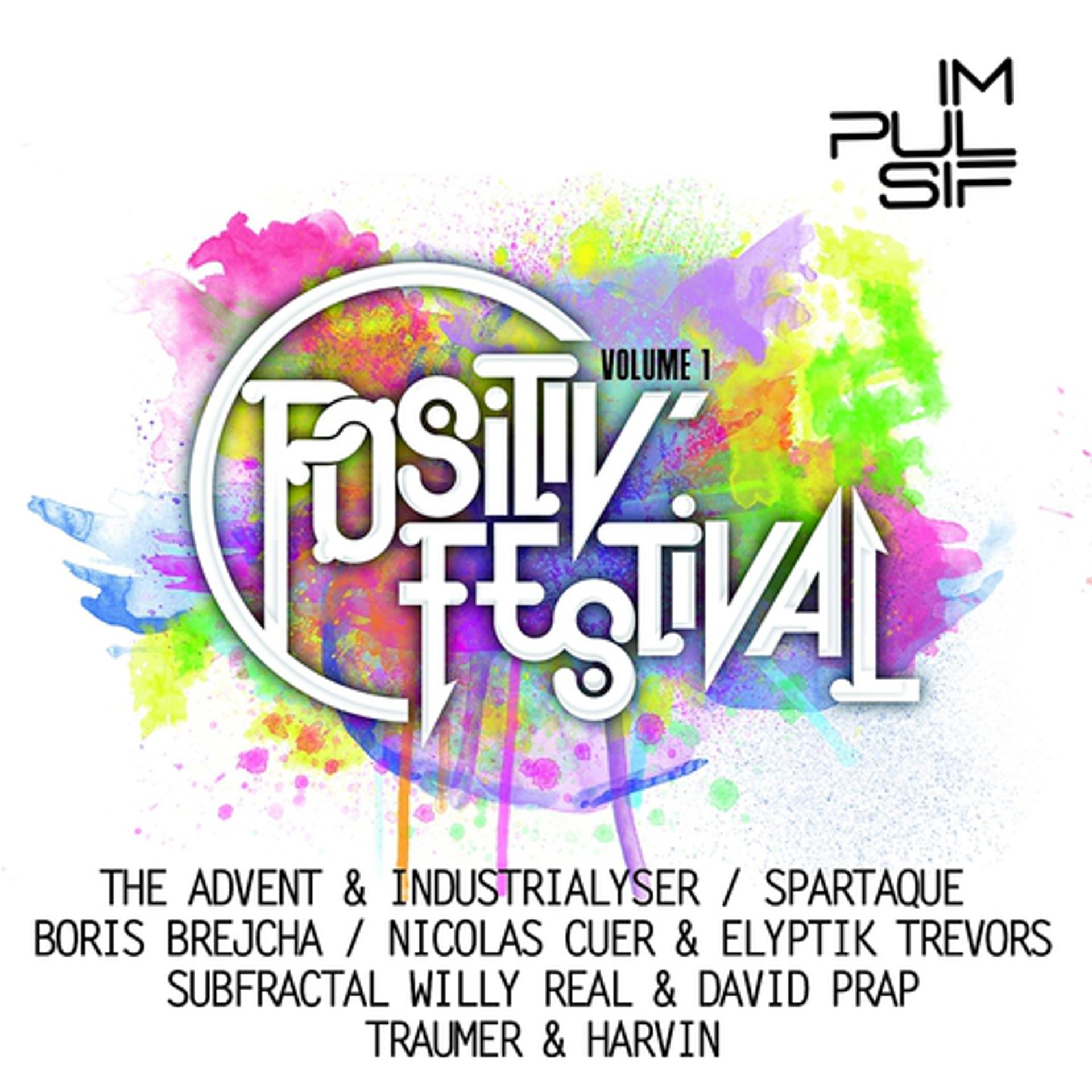 Постер альбома Compilation Positiv Festival