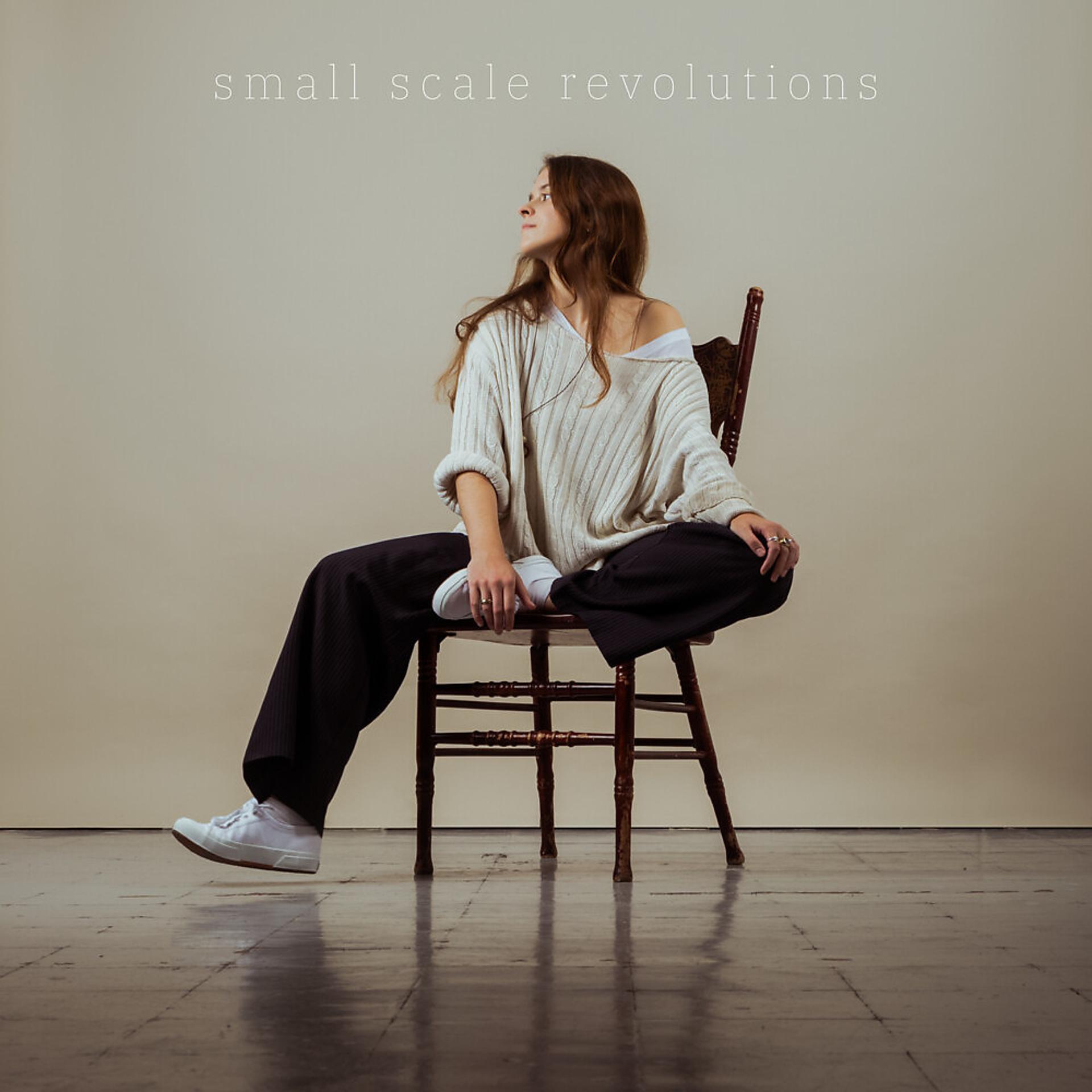 Постер альбома Small Scale Revolutions