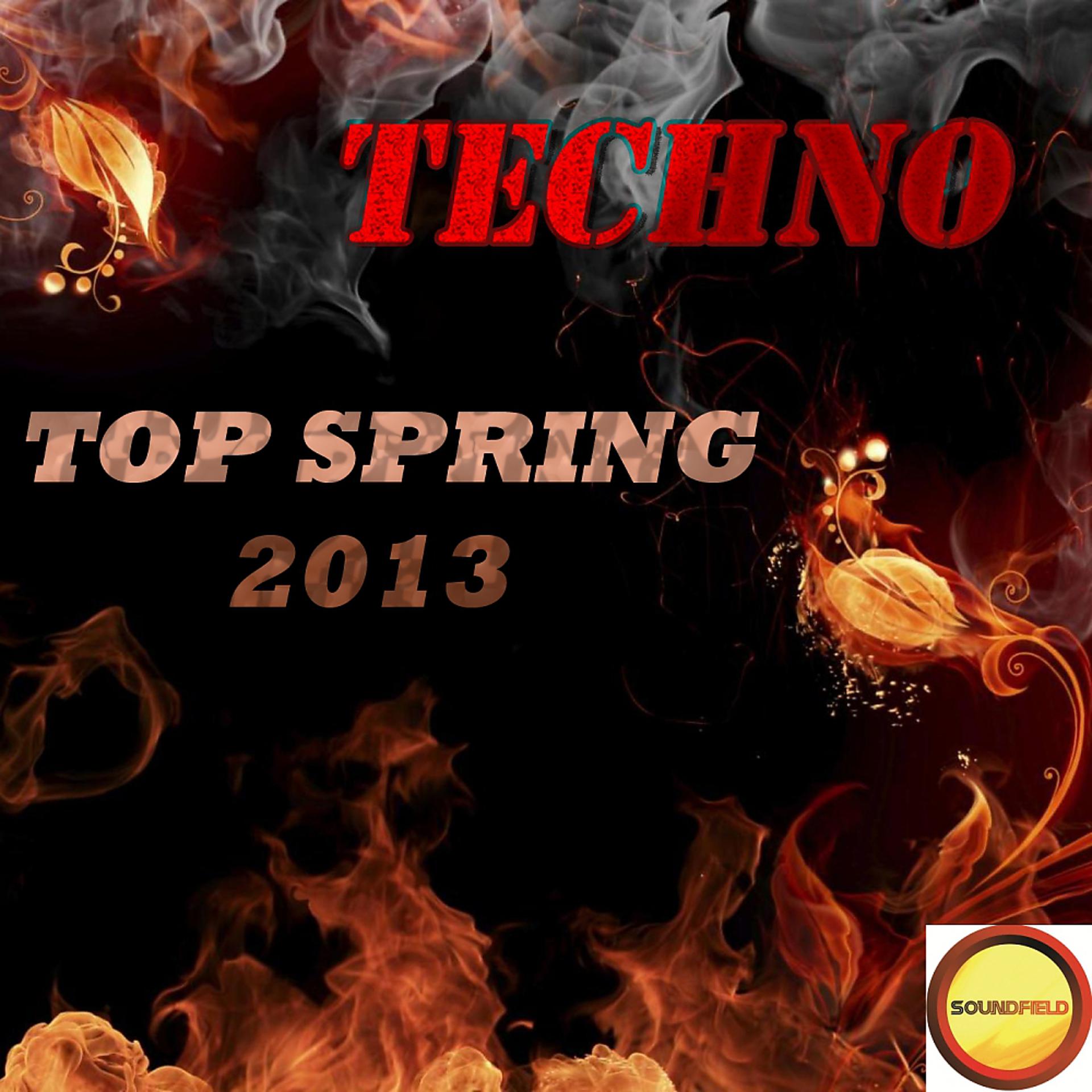 Постер альбома Techno Top Spring 2013