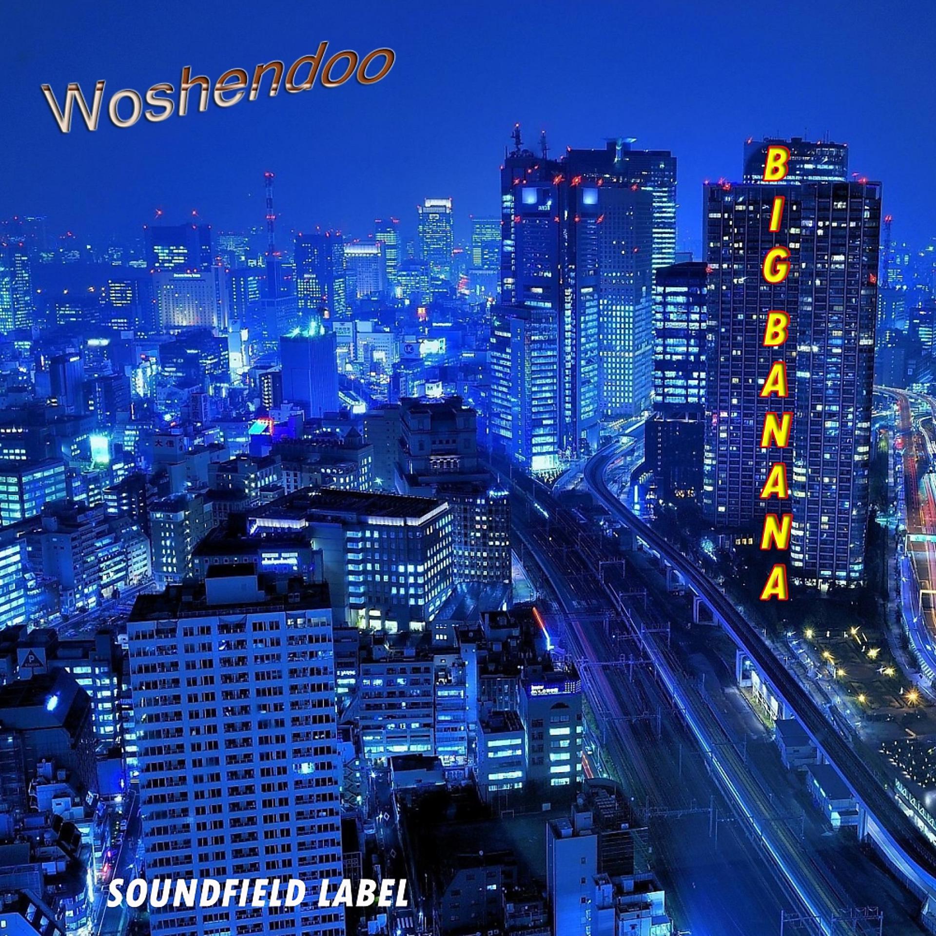 Постер к треку Wooshendoo - Do It Easely