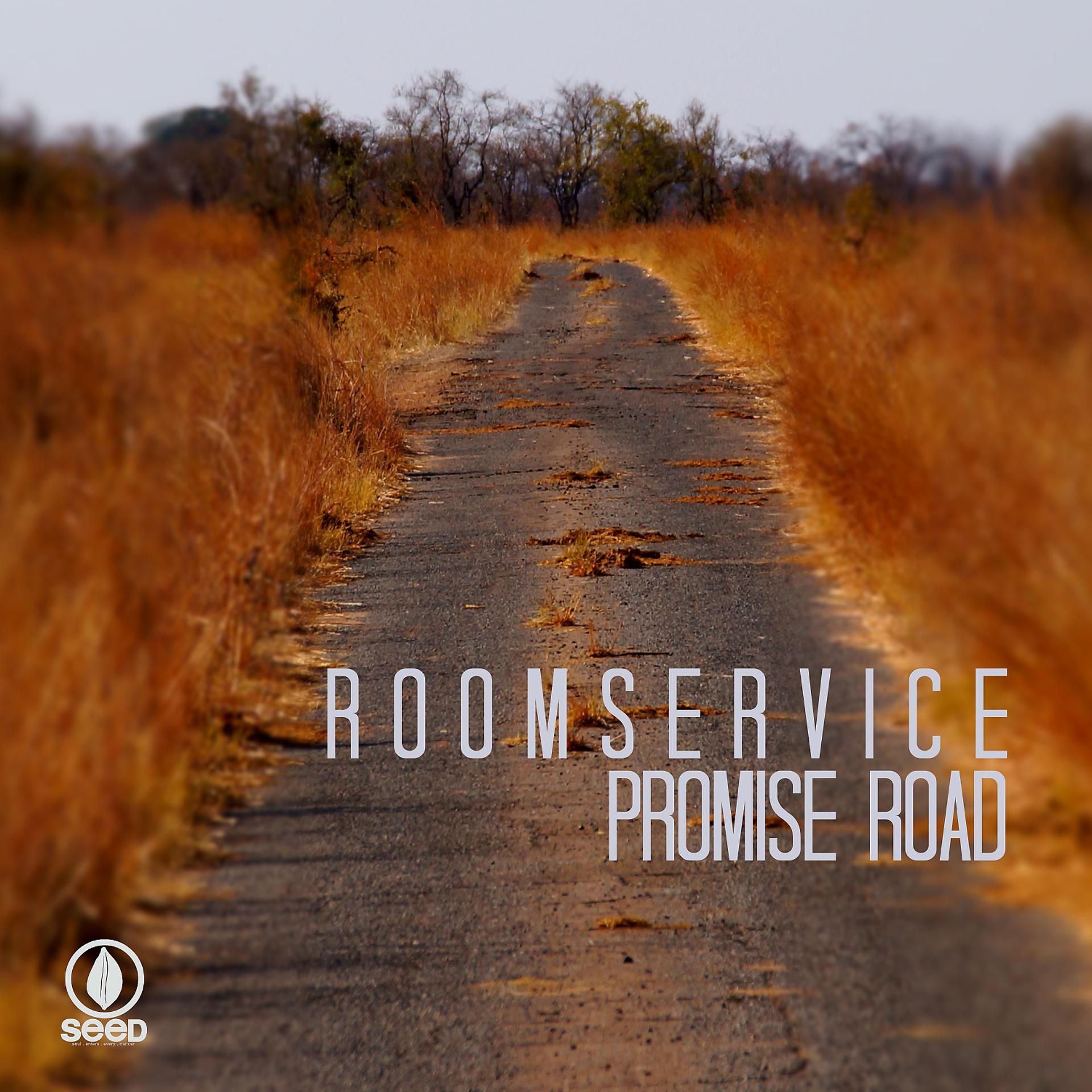 Постер альбома Promise Road