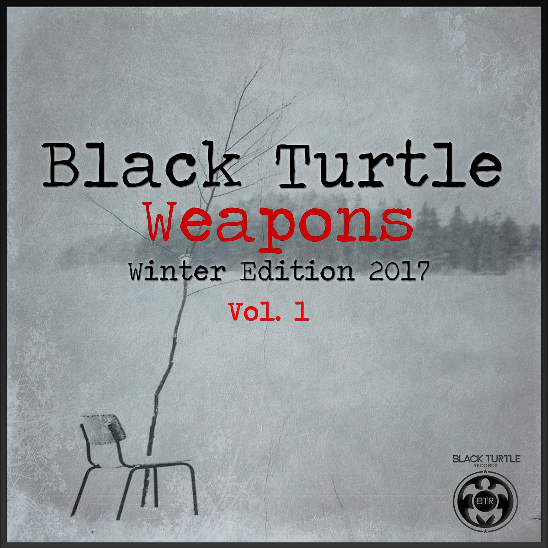 Постер альбома Black Turtle Weapons Winter Edition 2017 Vol.1
