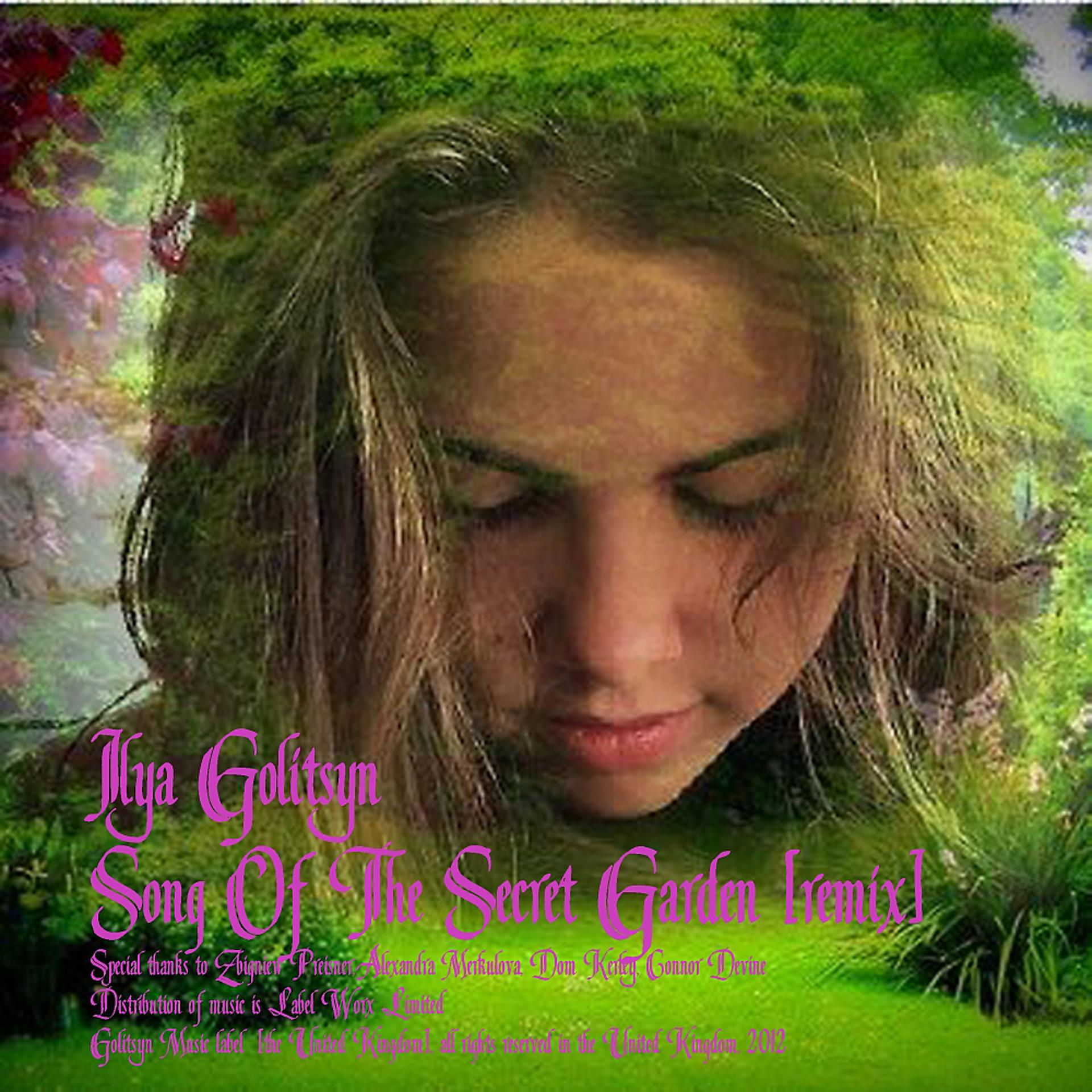 Постер альбома Song Of The Secret Garden (Remix)