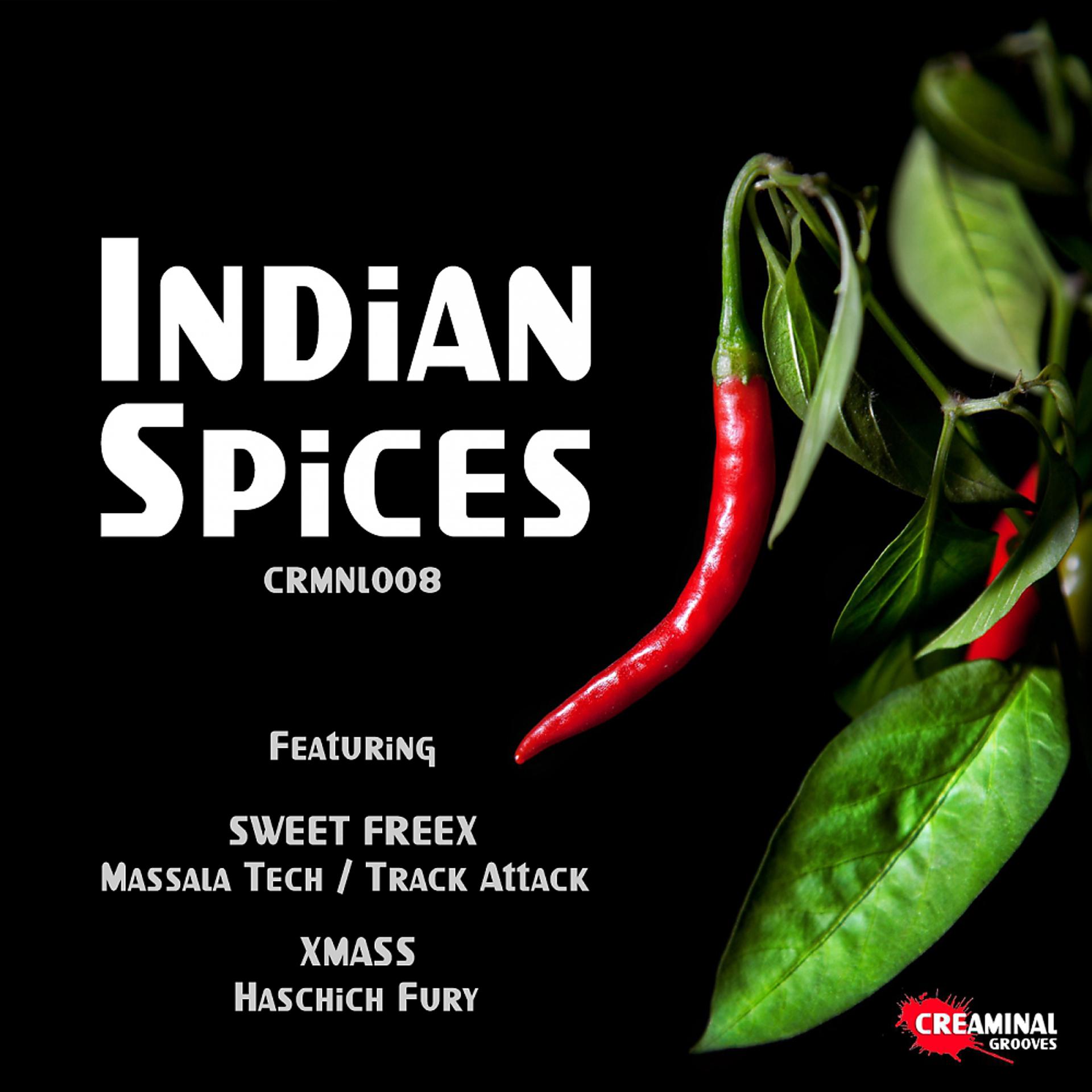 Постер альбома Indian Spices