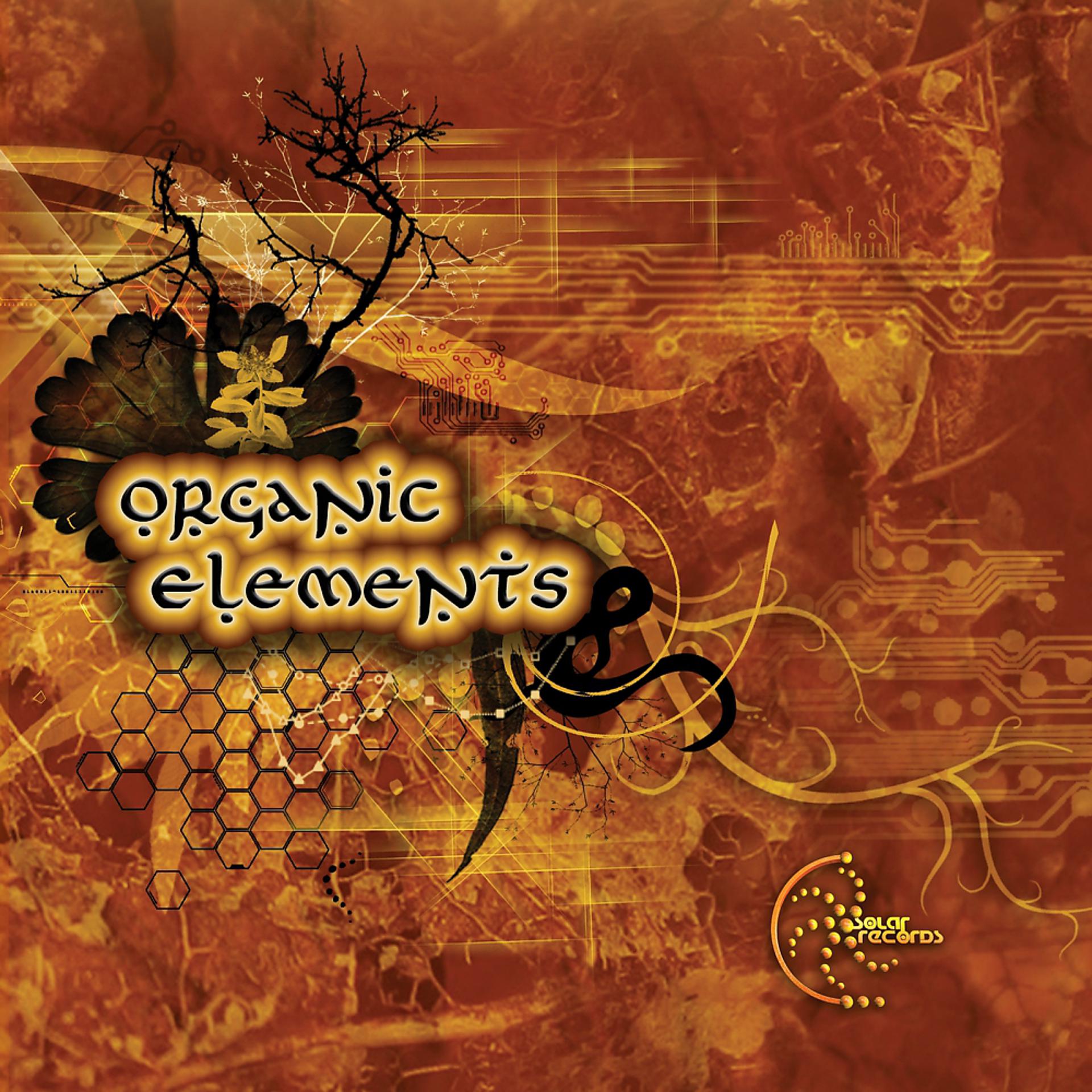Постер альбома Organic Elements