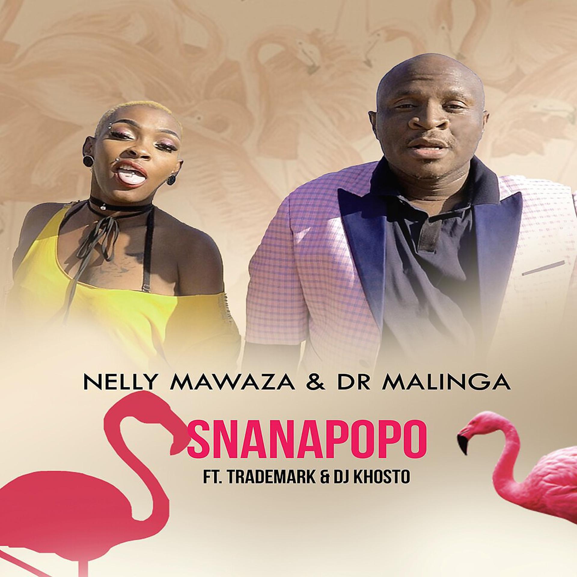 Постер альбома Snanapopo