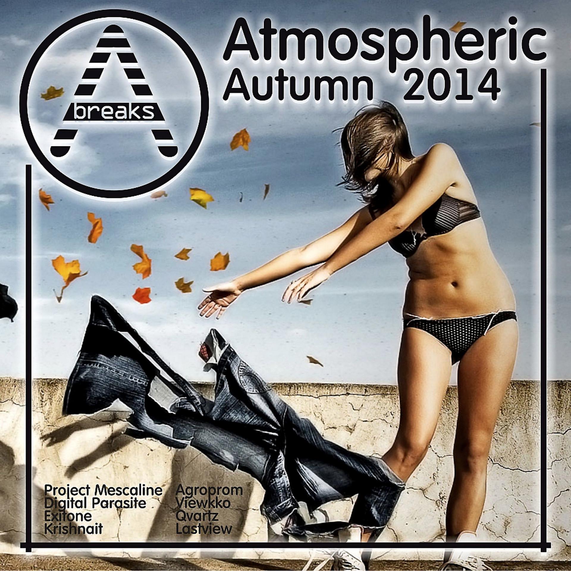 Постер альбома Atmospheric Autumn 2014