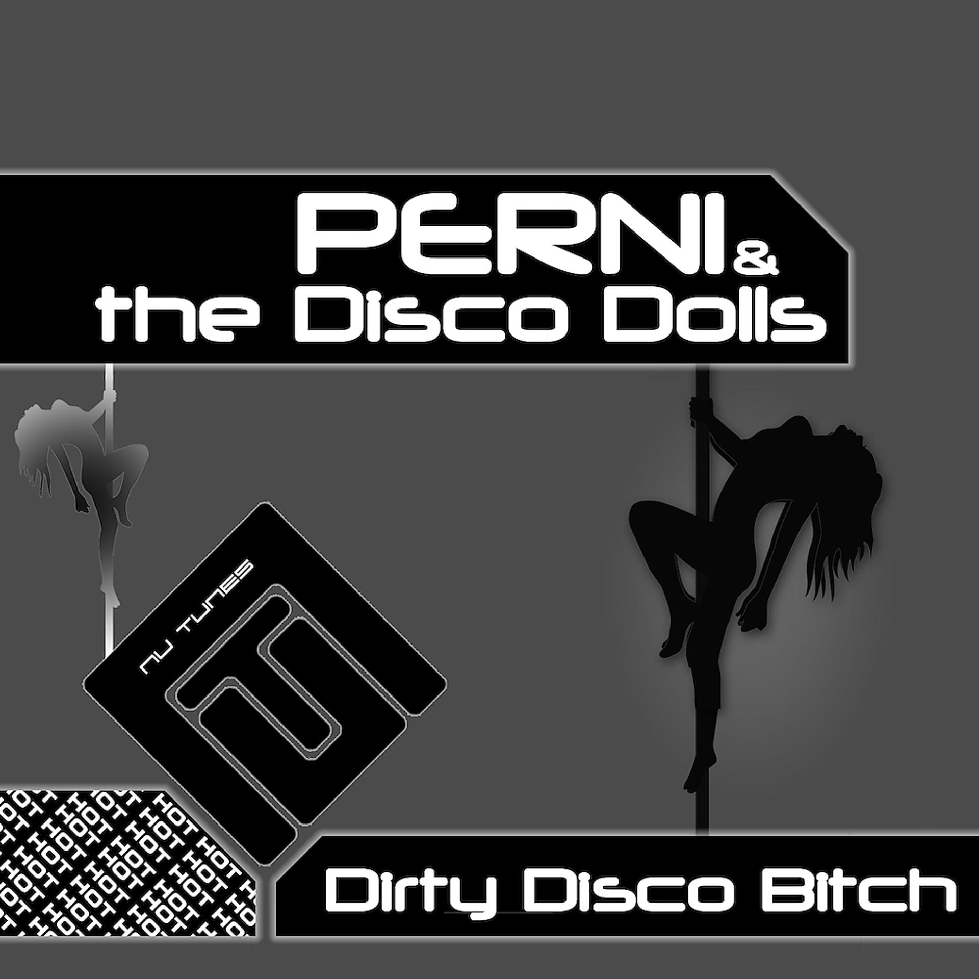 Постер альбома Dirty Disco Bitch