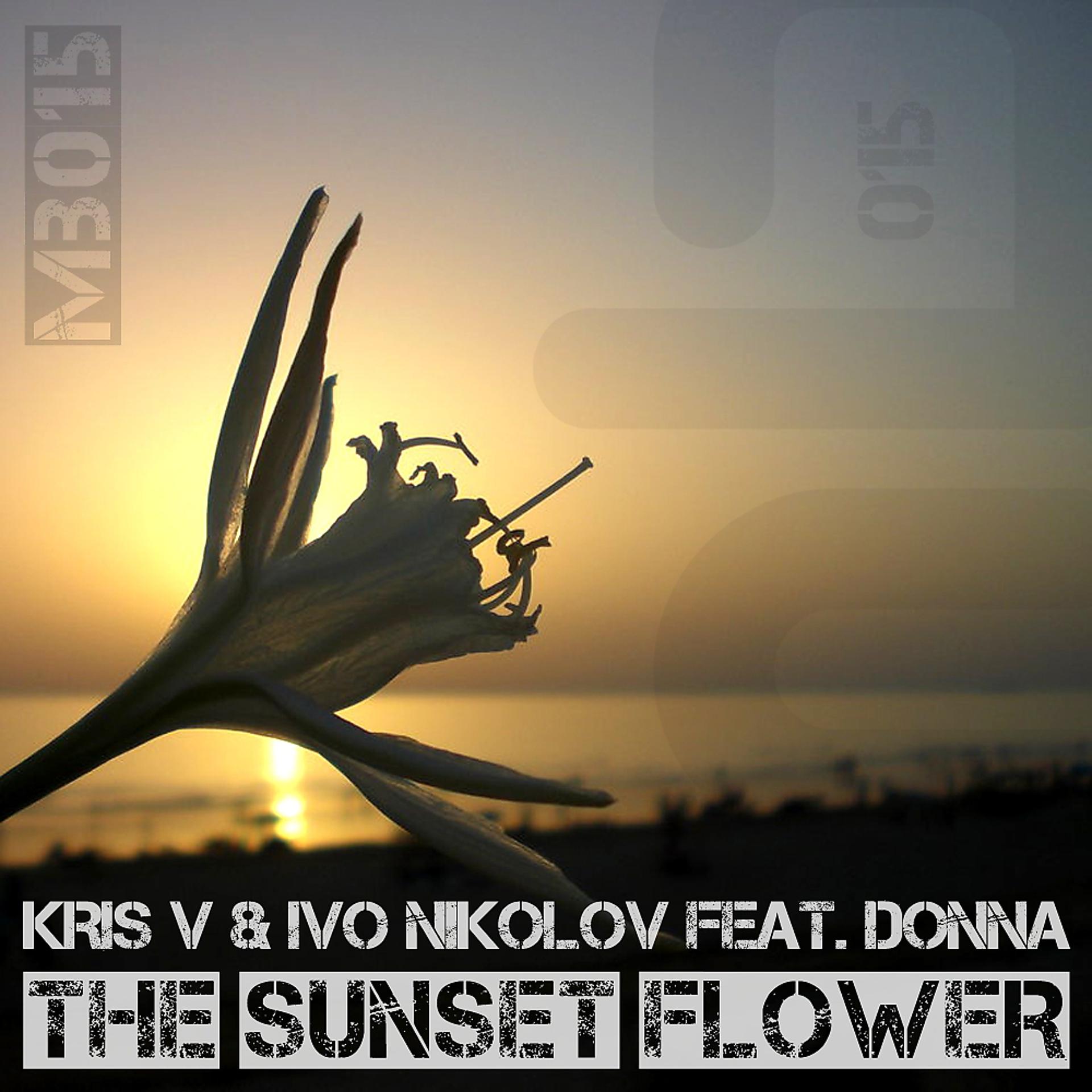 Постер альбома The Sunset Flower (Remixed)